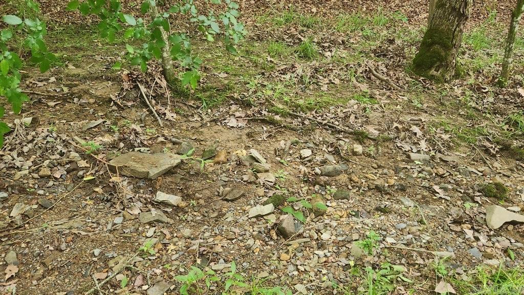 TBD Overcrest Dr  Sims, AR