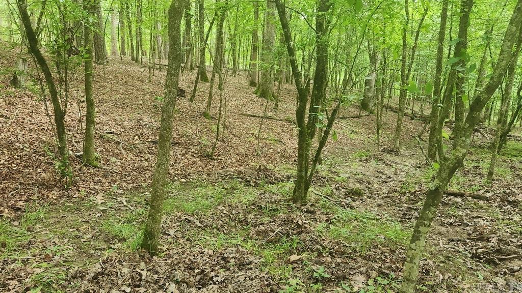 TBD Overcrest Dr  Sims, AR