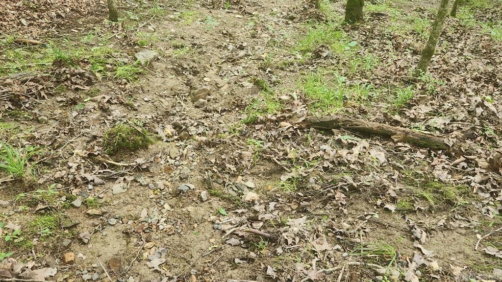 TBD Overcrest Dr  Sims, AR