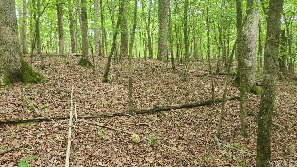 TBD Overcrest Dr  Sims, AR