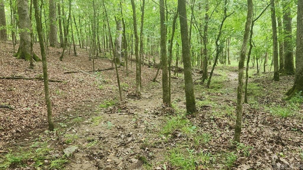 TBD Overcrest Dr  Sims, AR