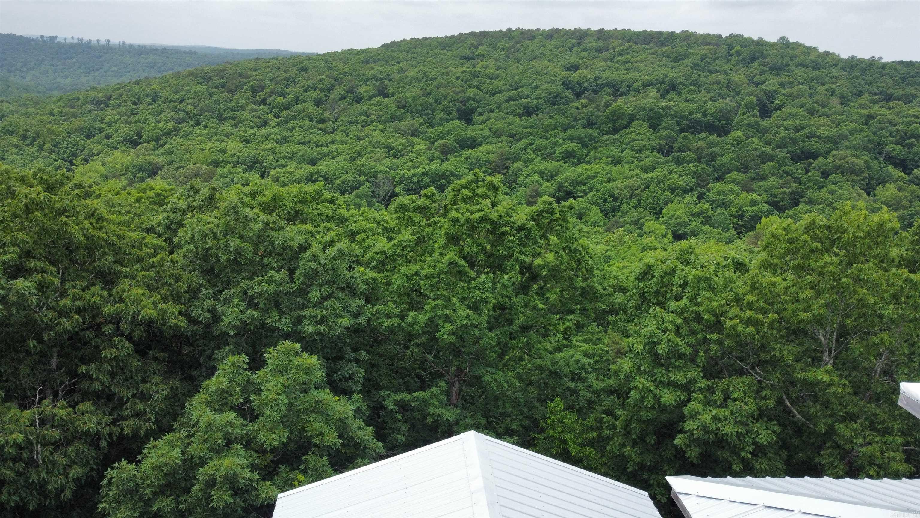 1349 Kahoka Road Mountain View, AR 72560