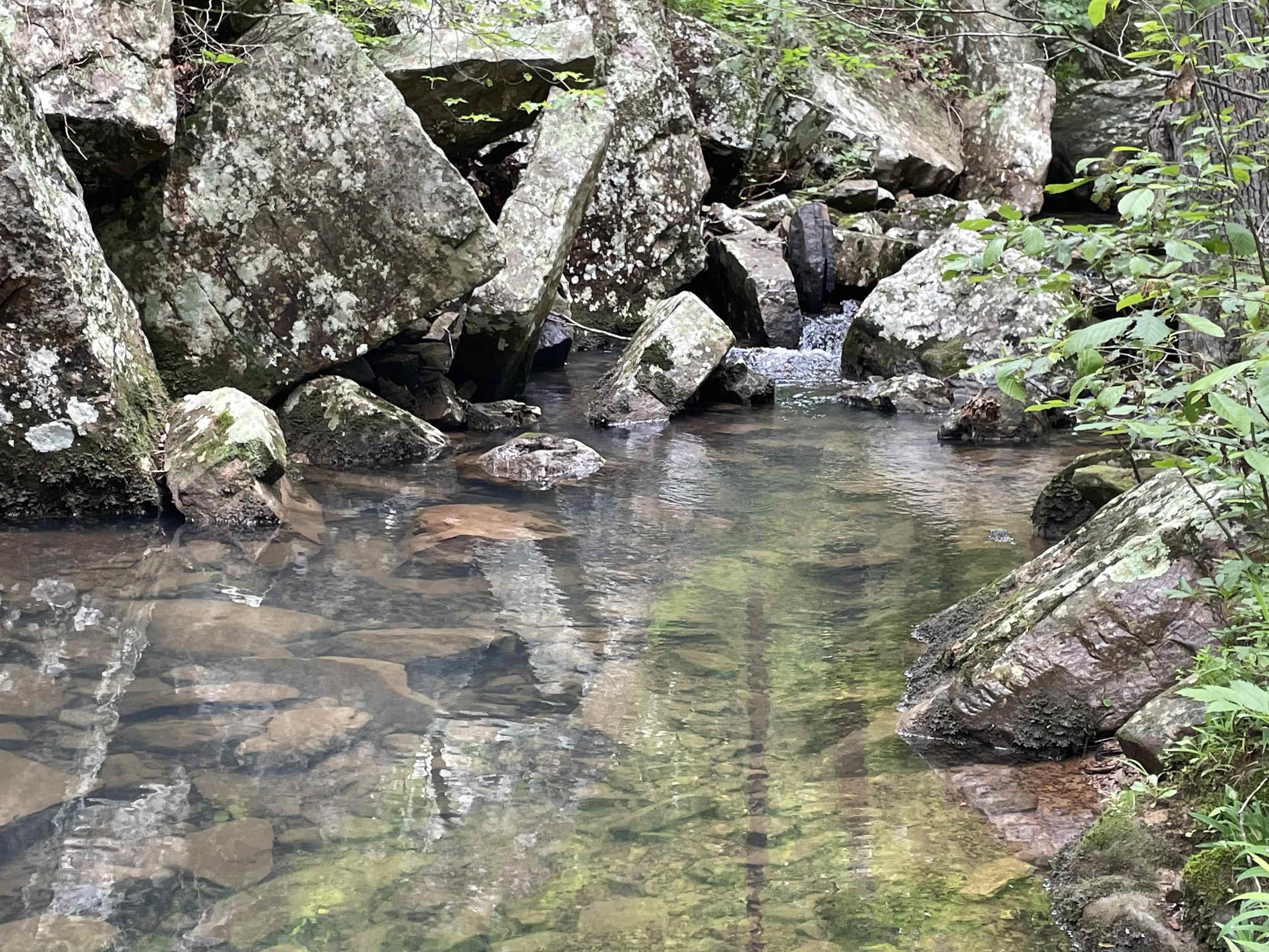 1349 Kahoka Road Mountain View, AR 72560