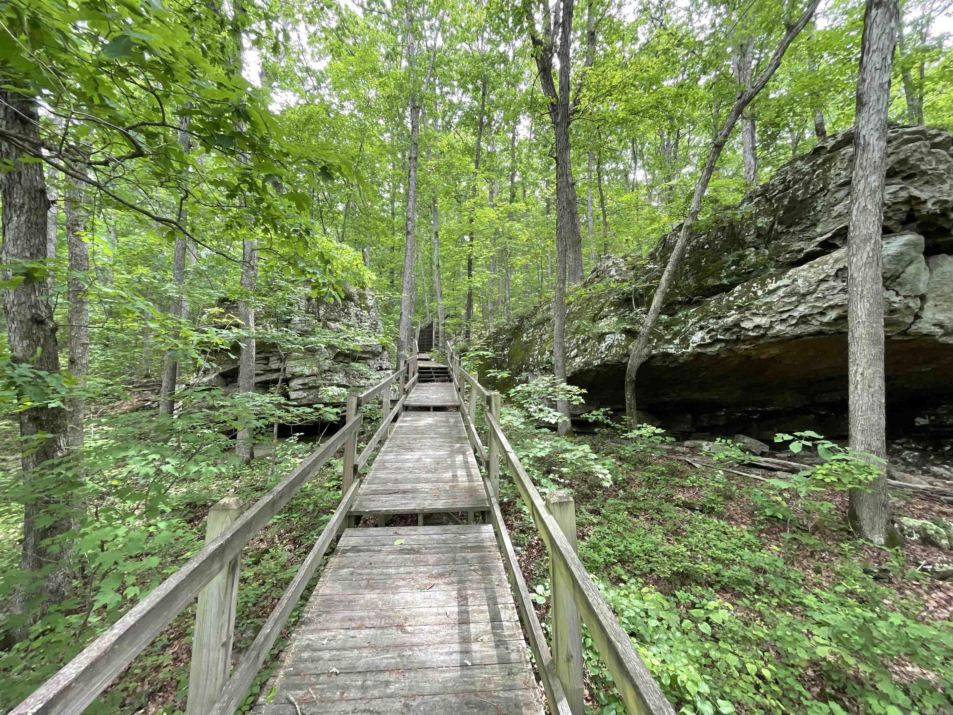 1349 Kahoka Road Mountain View, AR 72560