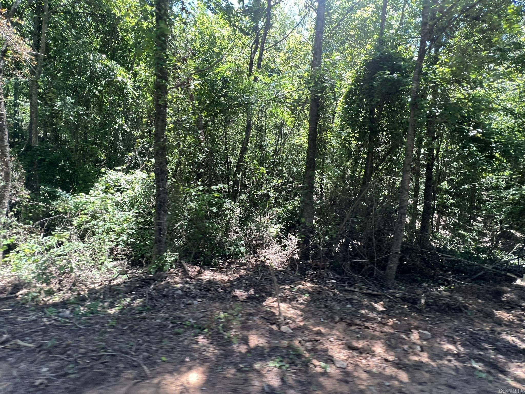 Unk County Road 720  Mena, AR