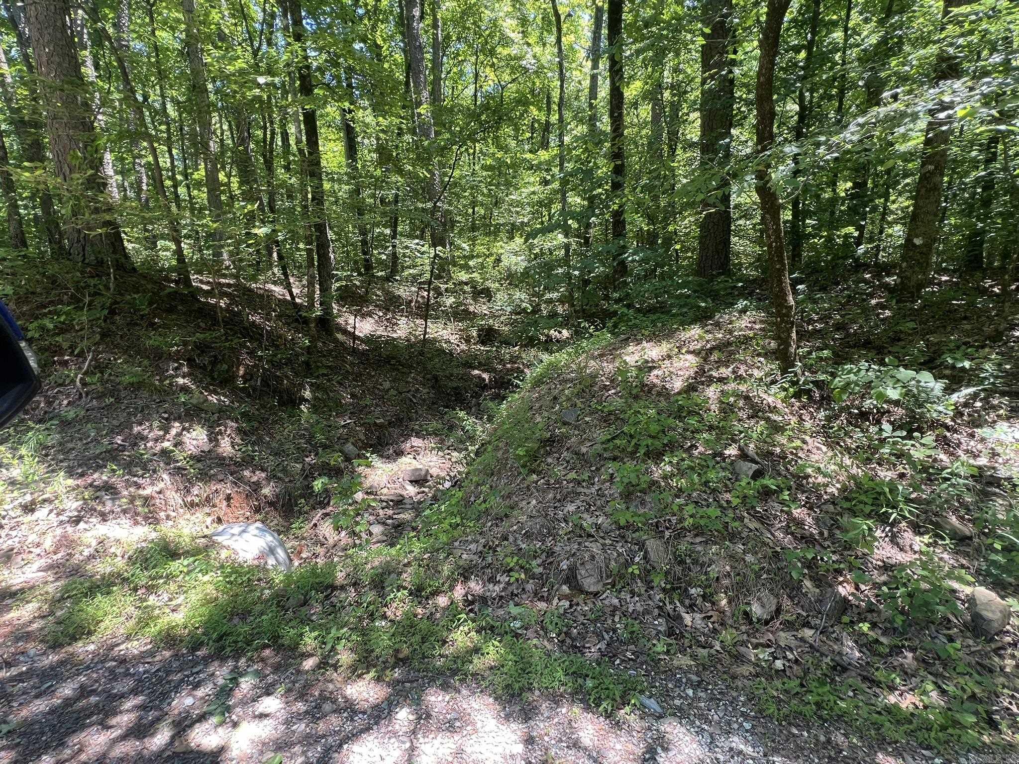 Unk County Road 720  Mena, AR