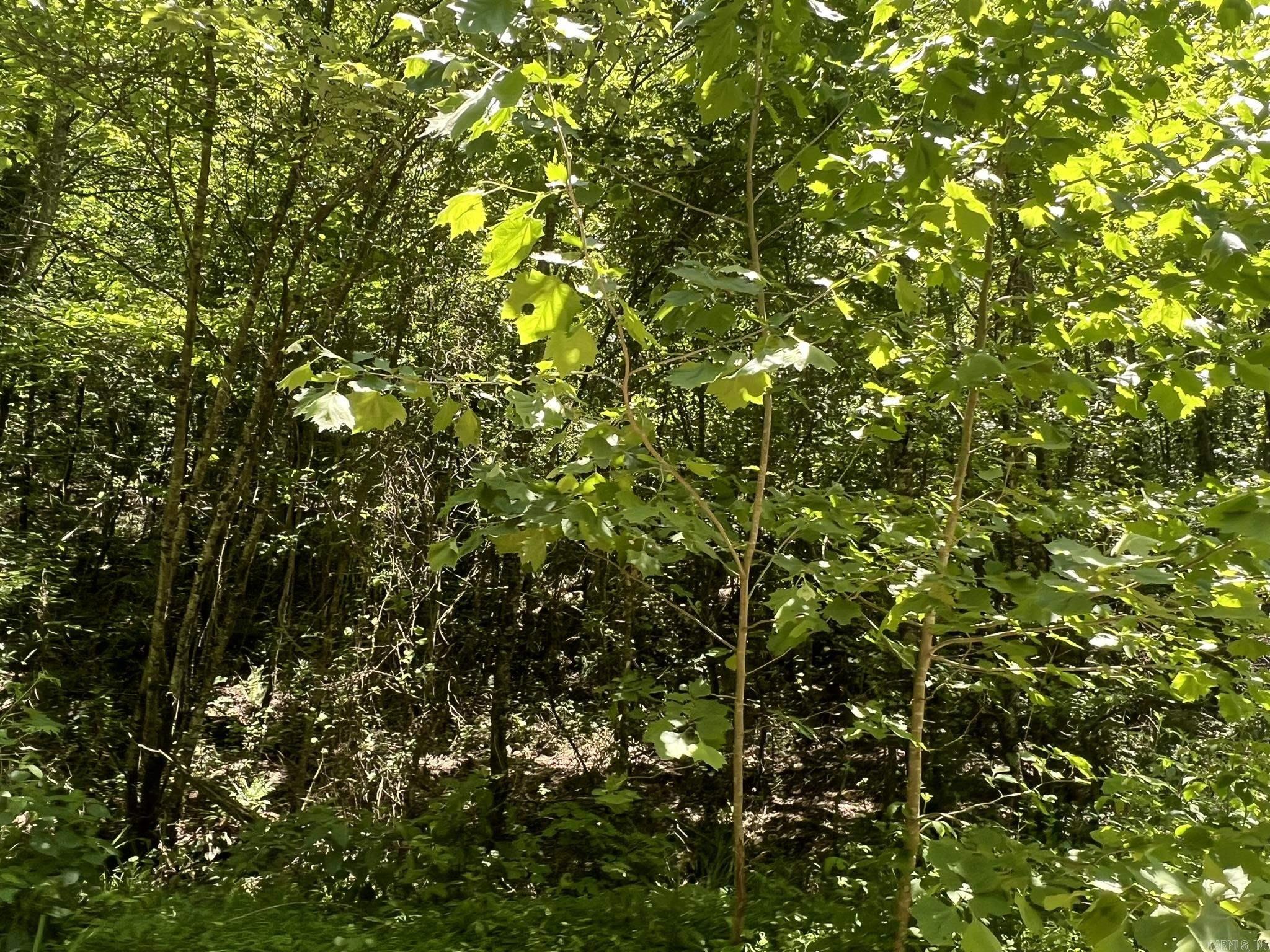 Unk County Road 720  Mena, AR