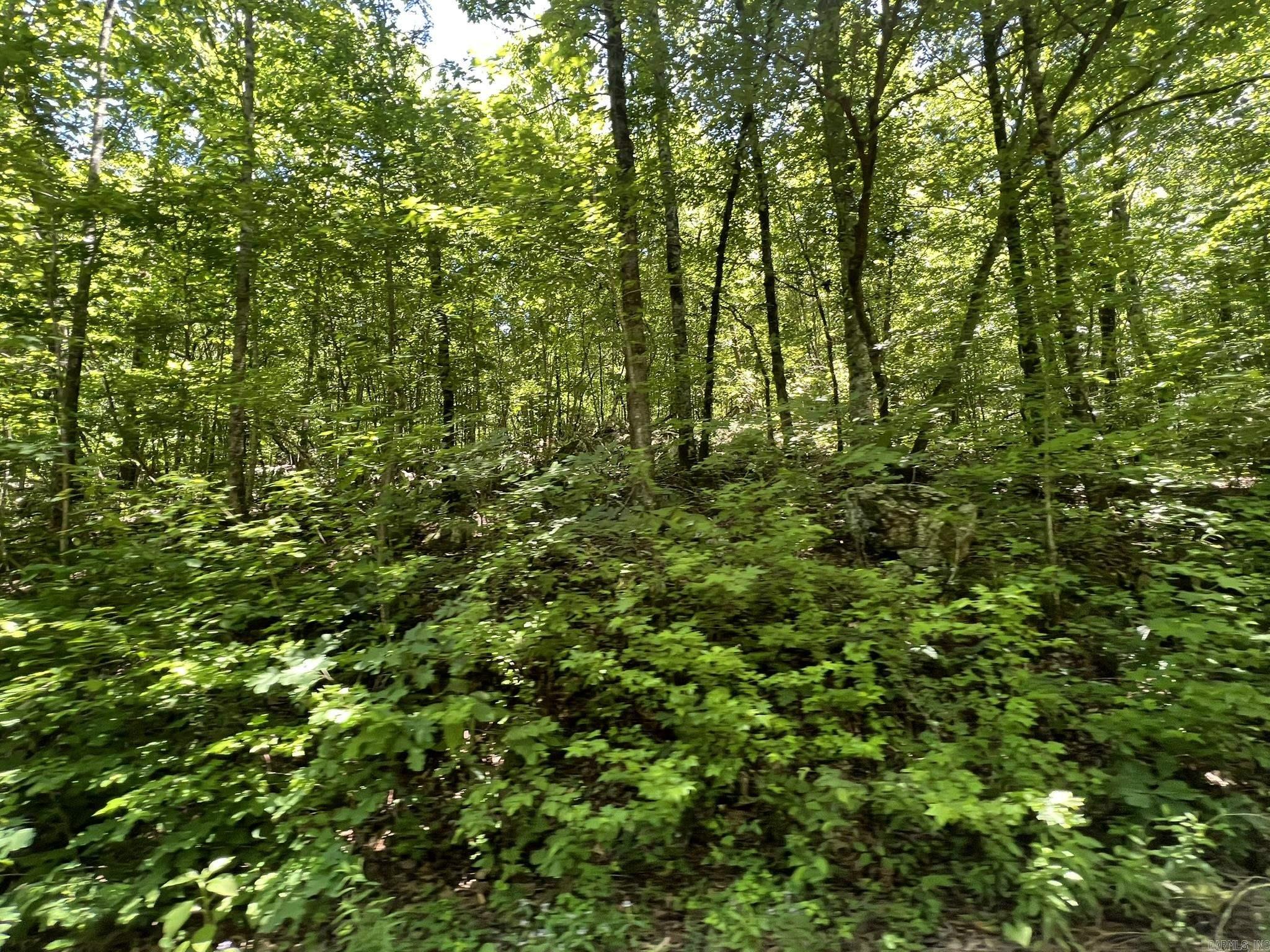 Unk County Road 720  Mena, AR