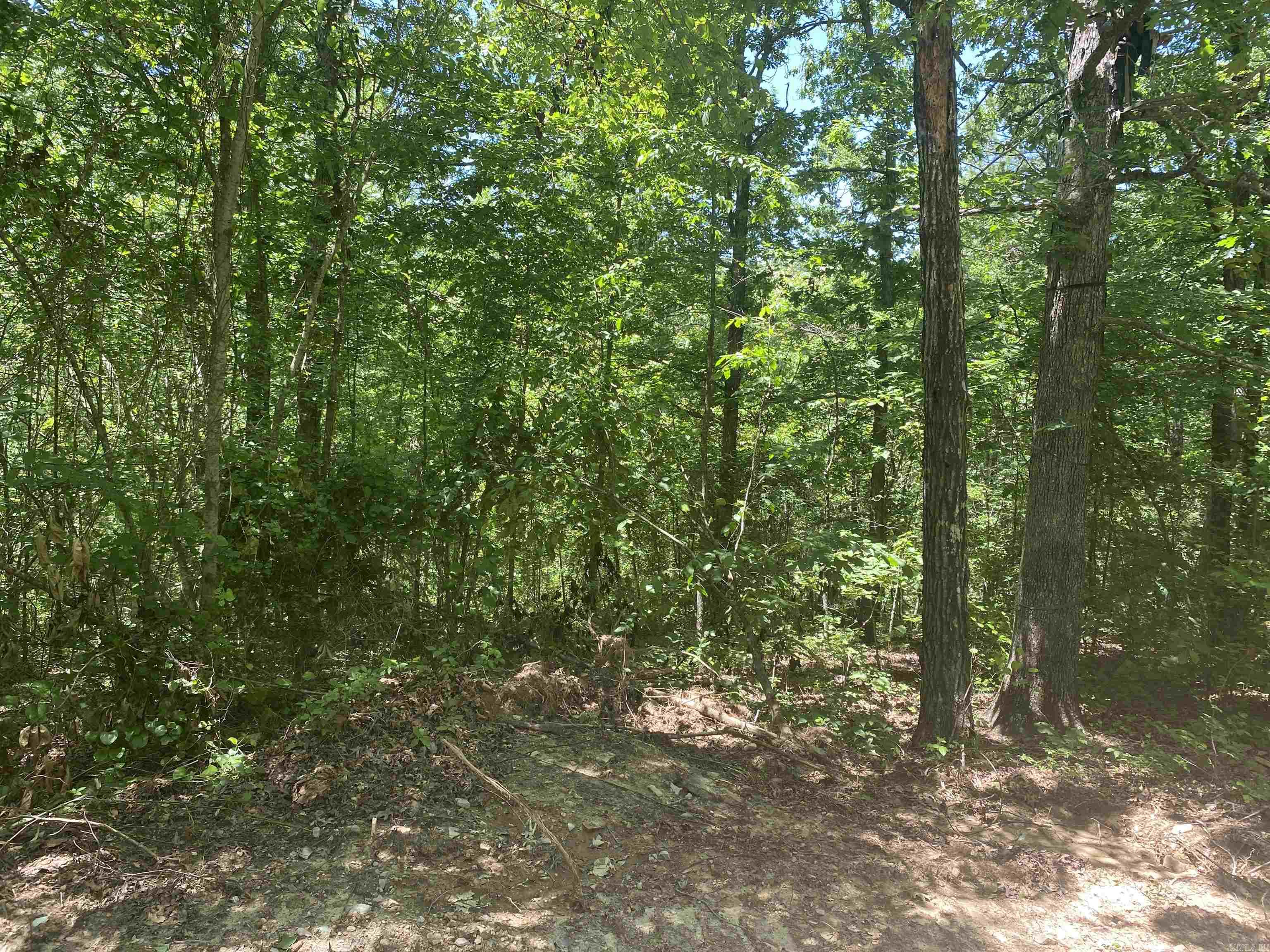 Unk County Road 720  Mena, AR