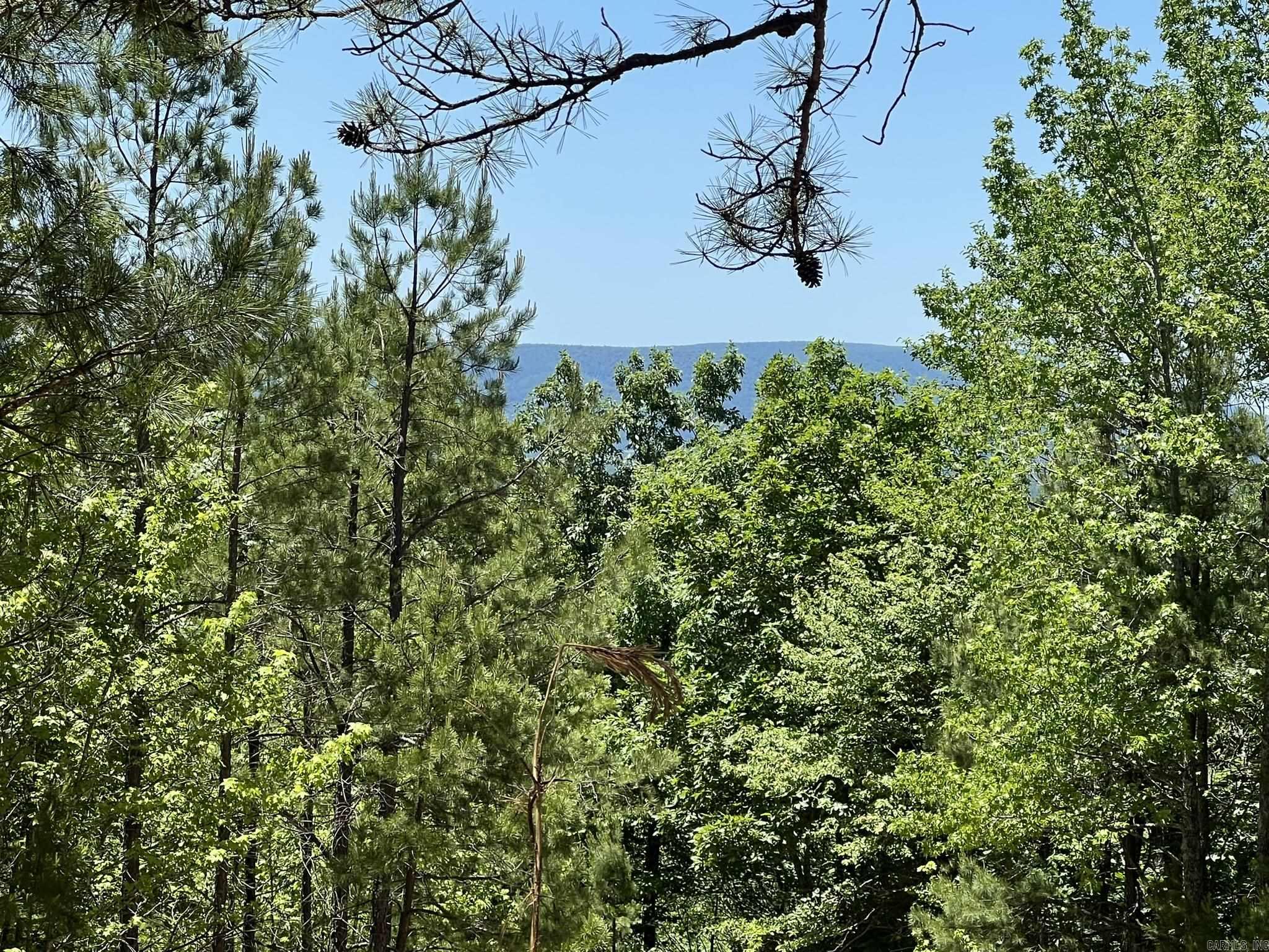 Unk County Road 720  Mena, AR