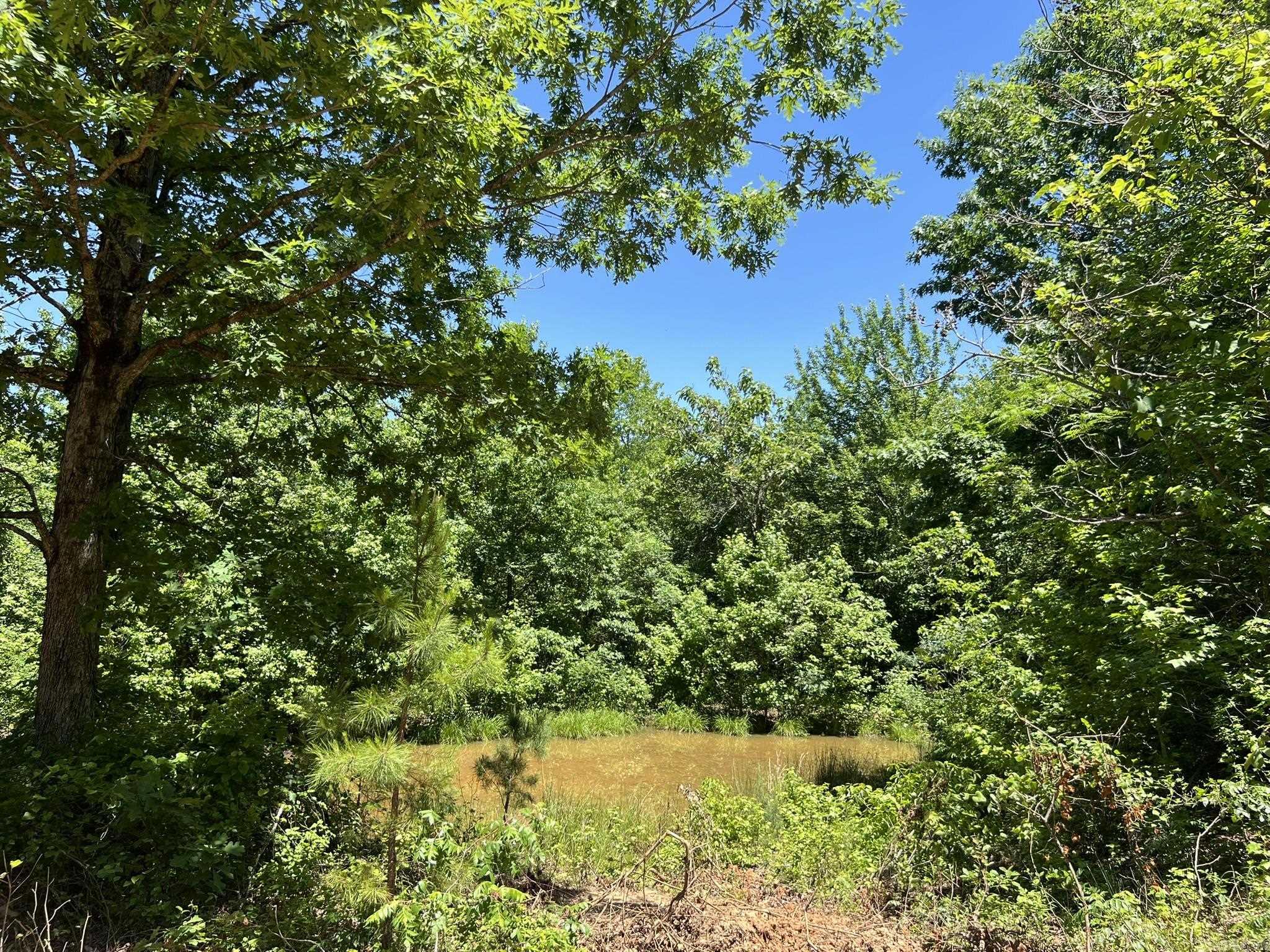 Unk County Road 720  Mena, AR