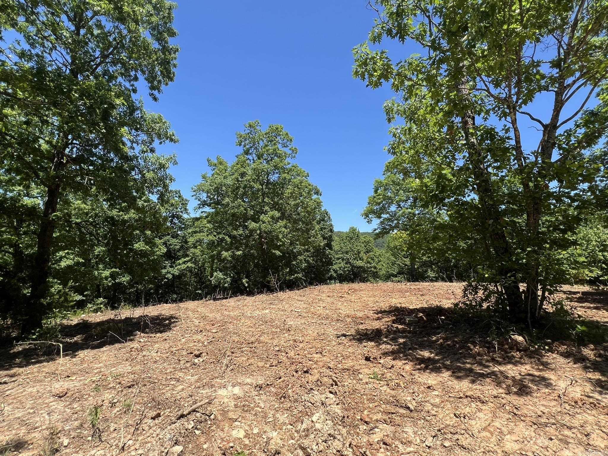 Unk County Road 720  Mena, AR