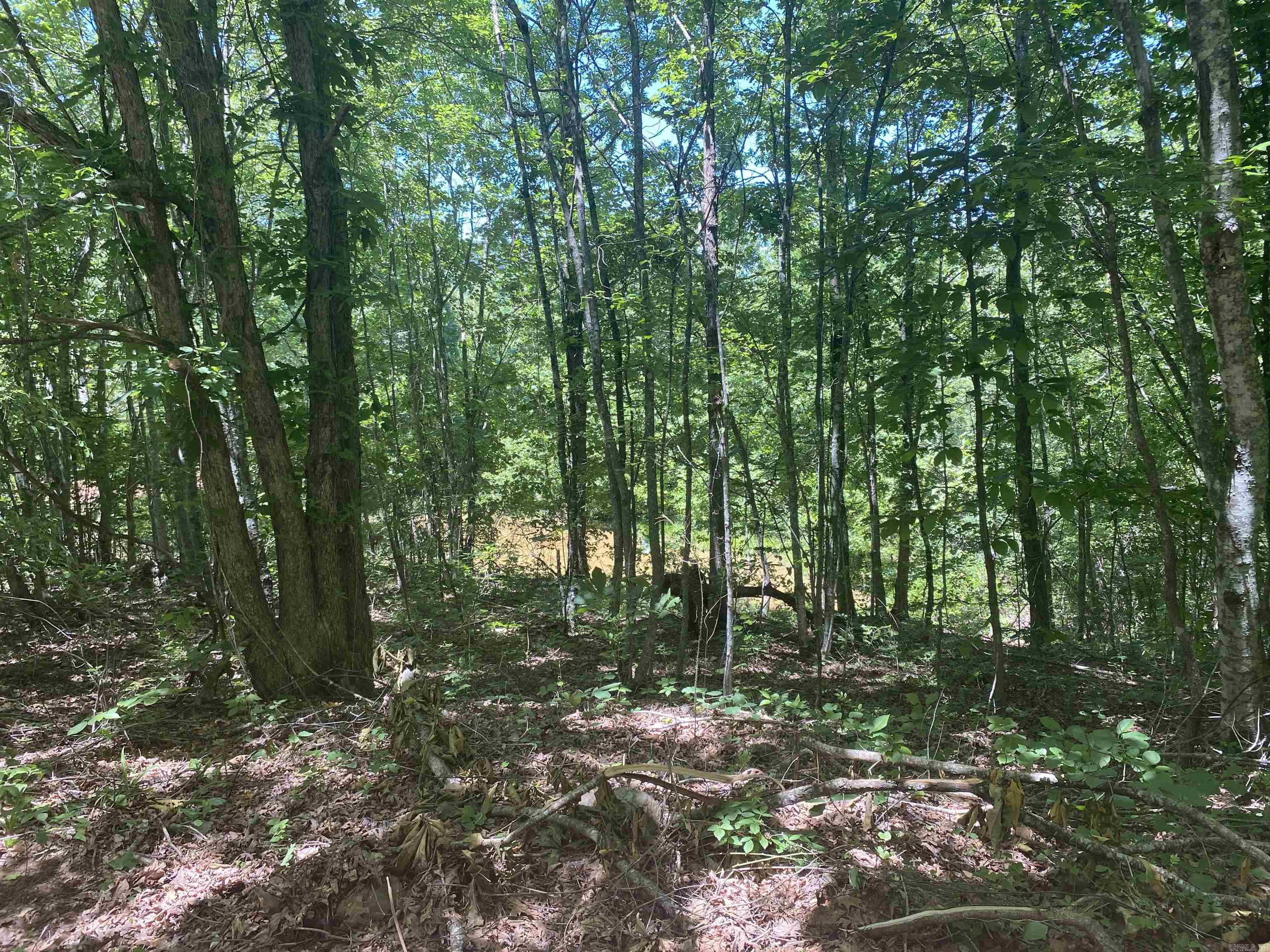 Unk County Road 720  Mena, AR