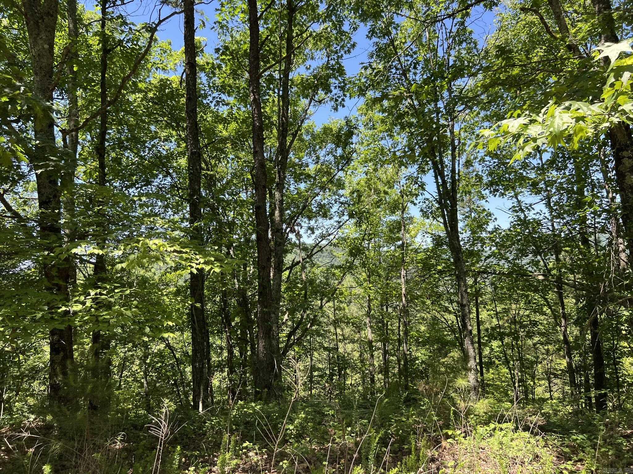 Unk County Road 720  Mena, AR