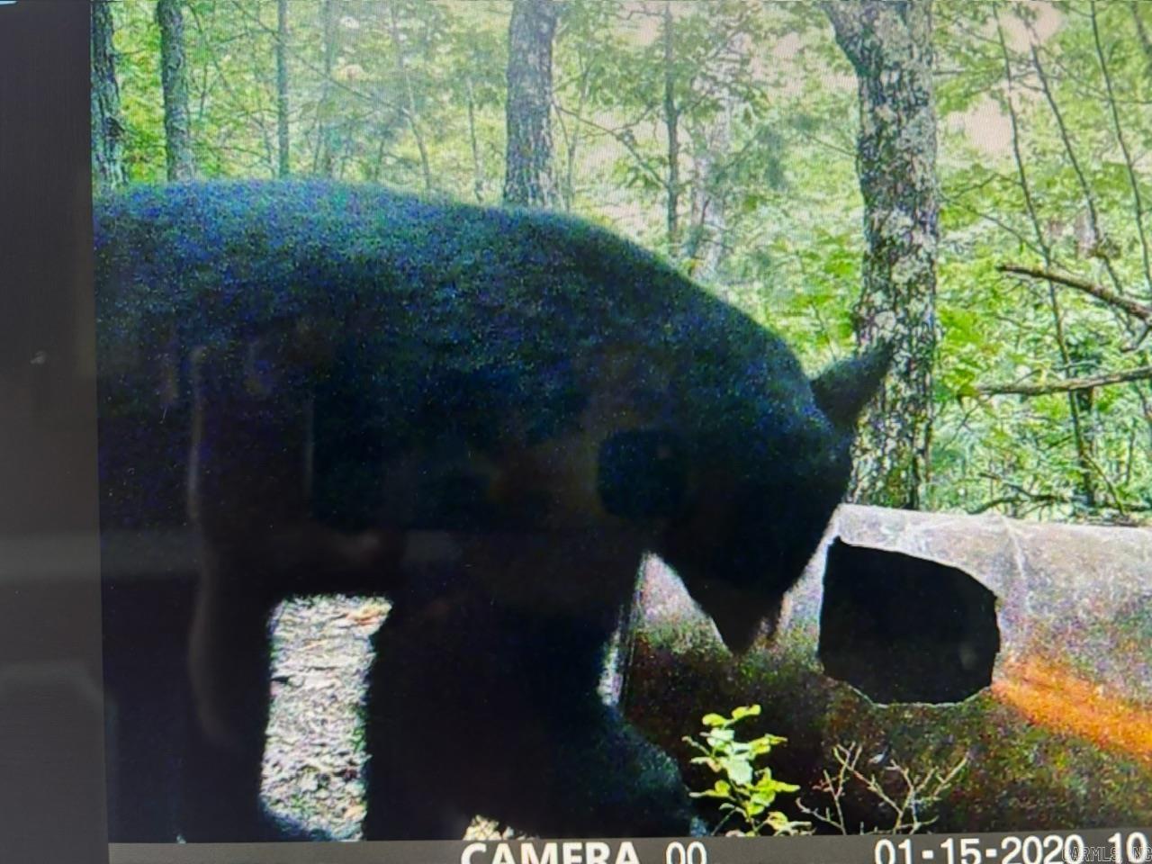 Unk County Road 720  Mena, AR