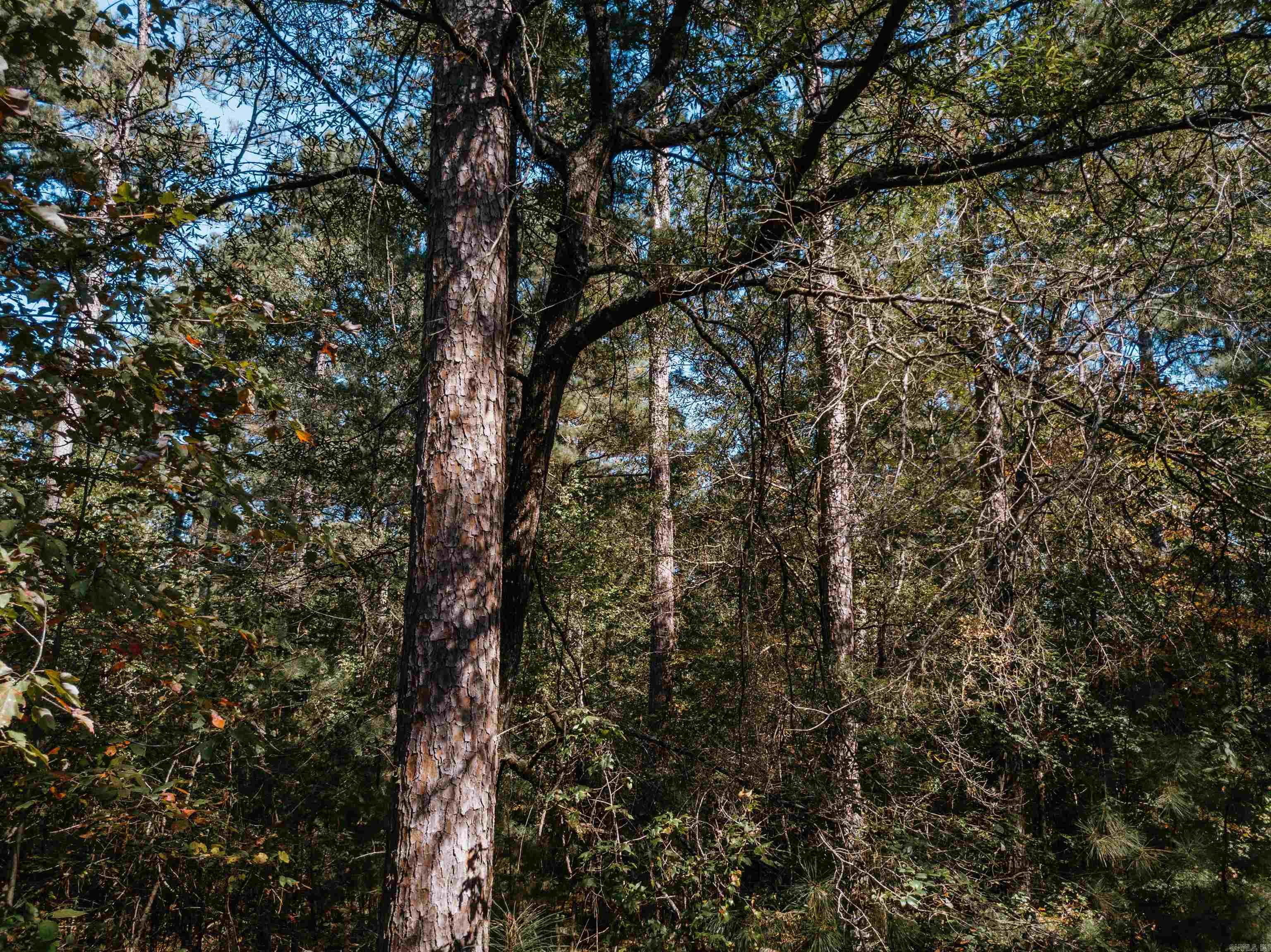 000 Opitz  Haskell, AR