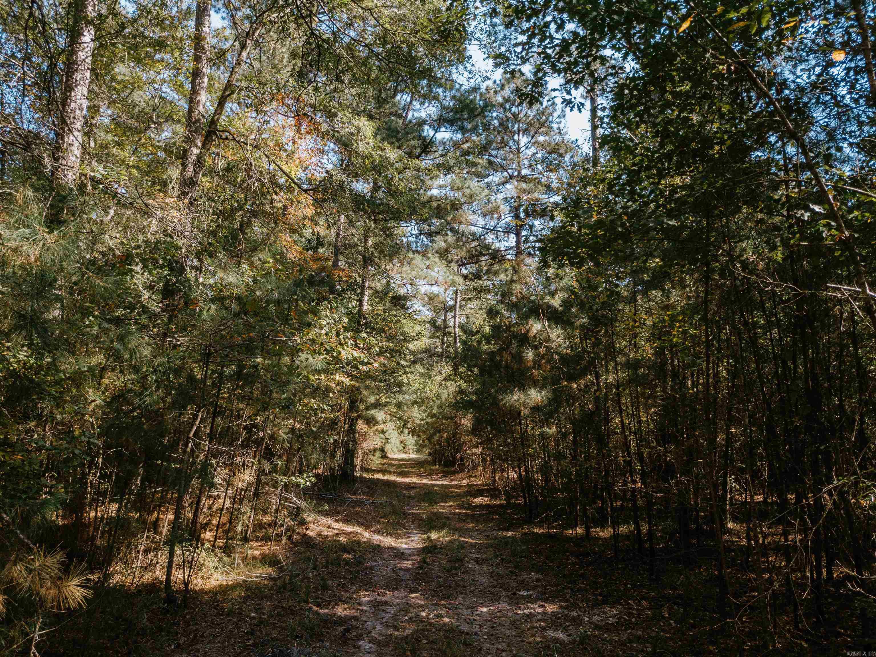 000 Opitz  Haskell, AR