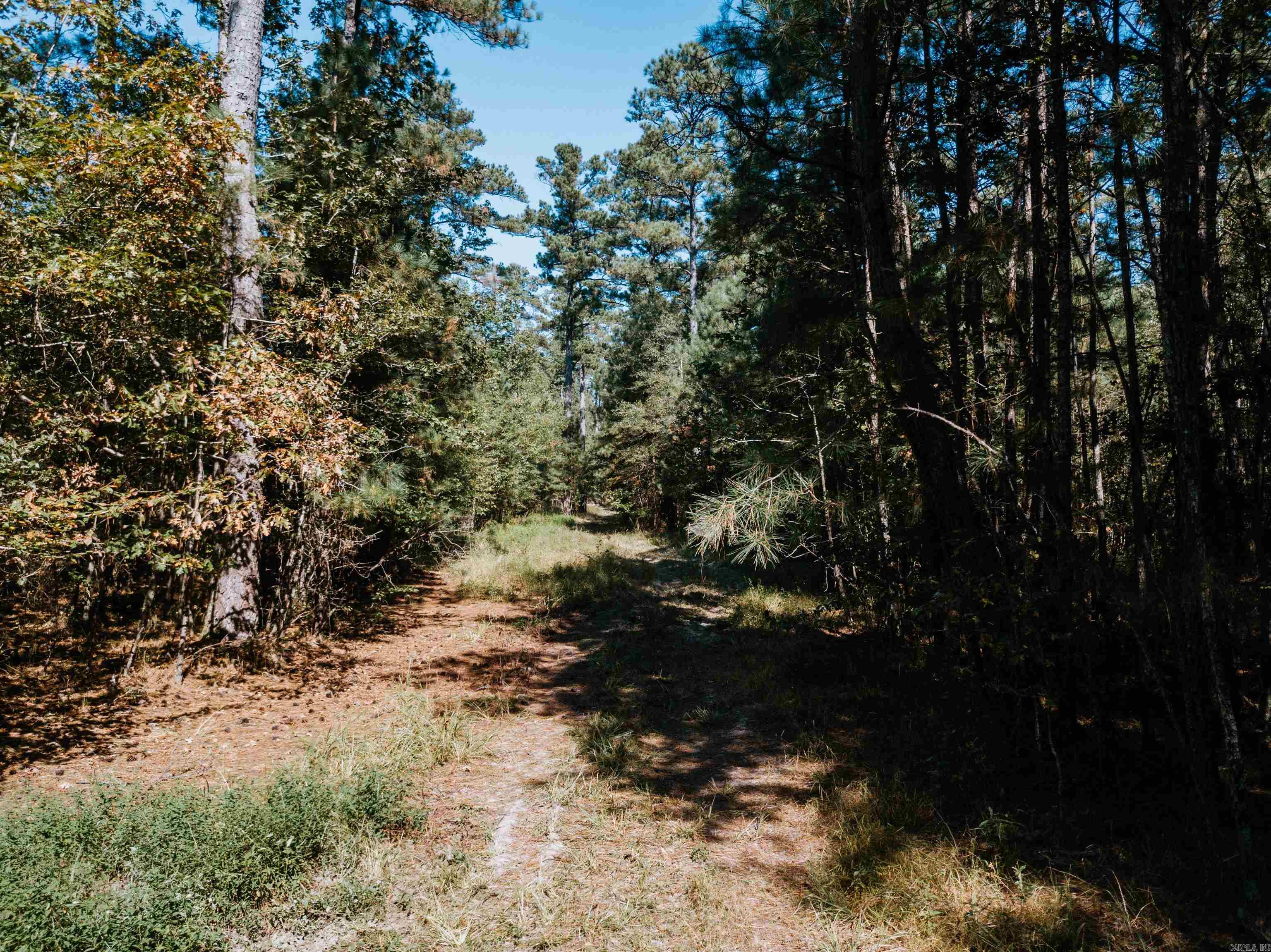 000 Opitz  Haskell, AR