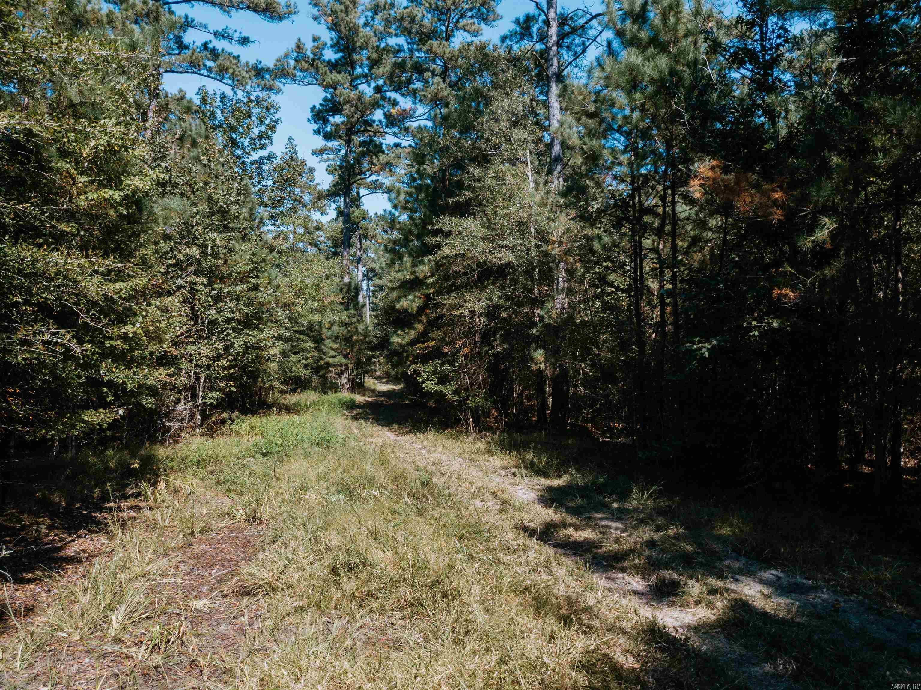 000 Opitz  Haskell, AR