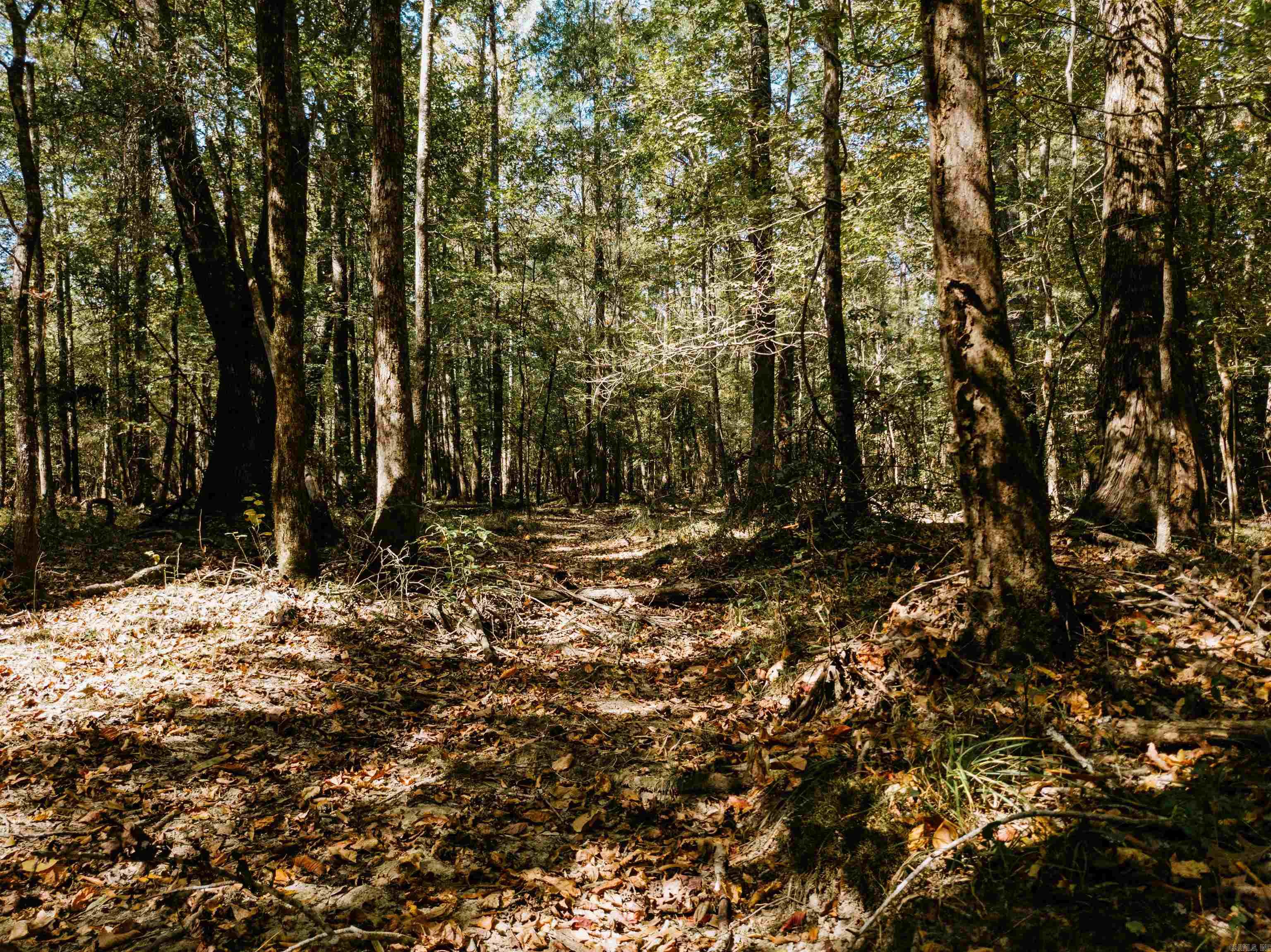 000 Opitz  Haskell, AR