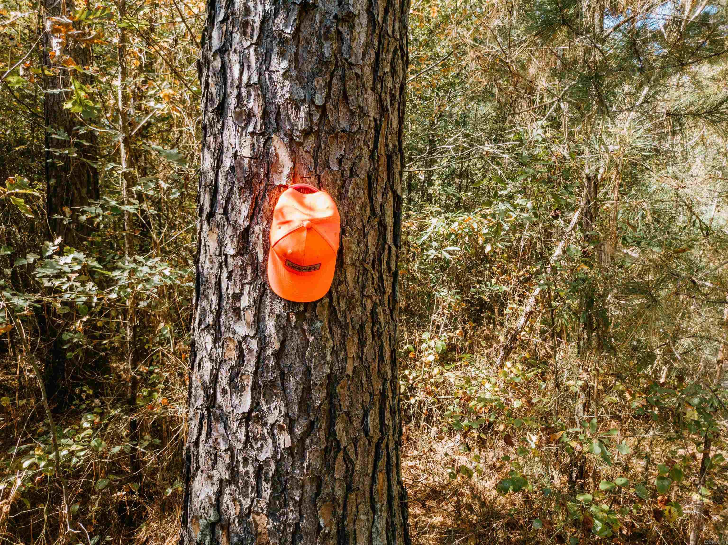 000 Opitz  Haskell, AR