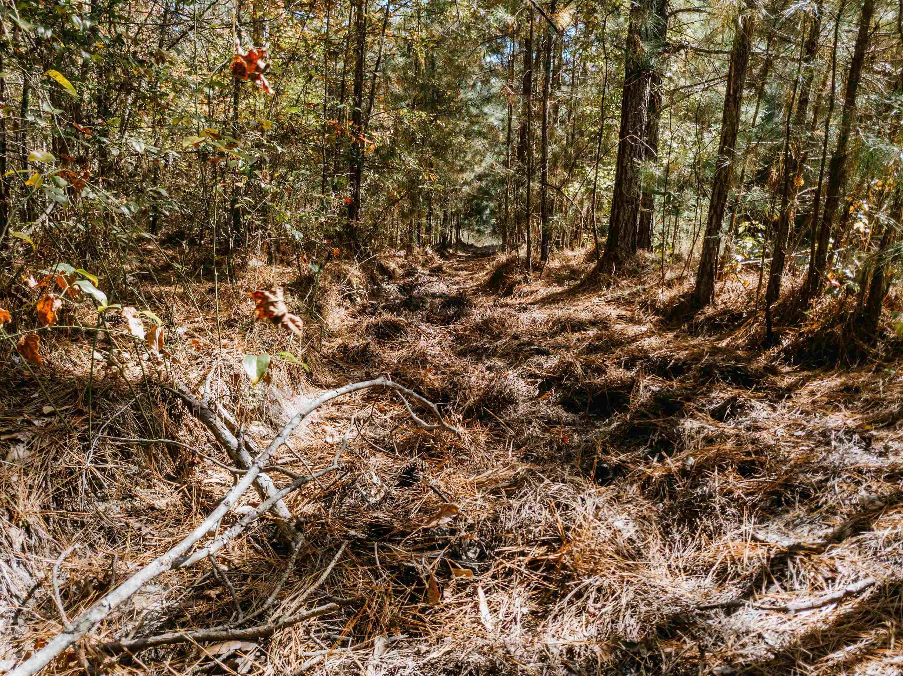 000 Opitz  Haskell, AR