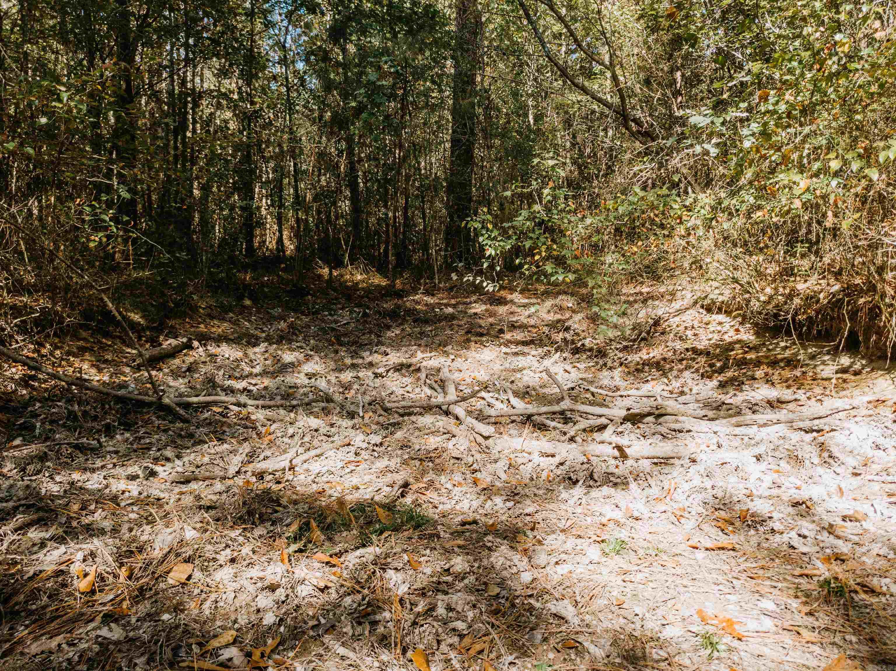 000 Opitz  Haskell, AR