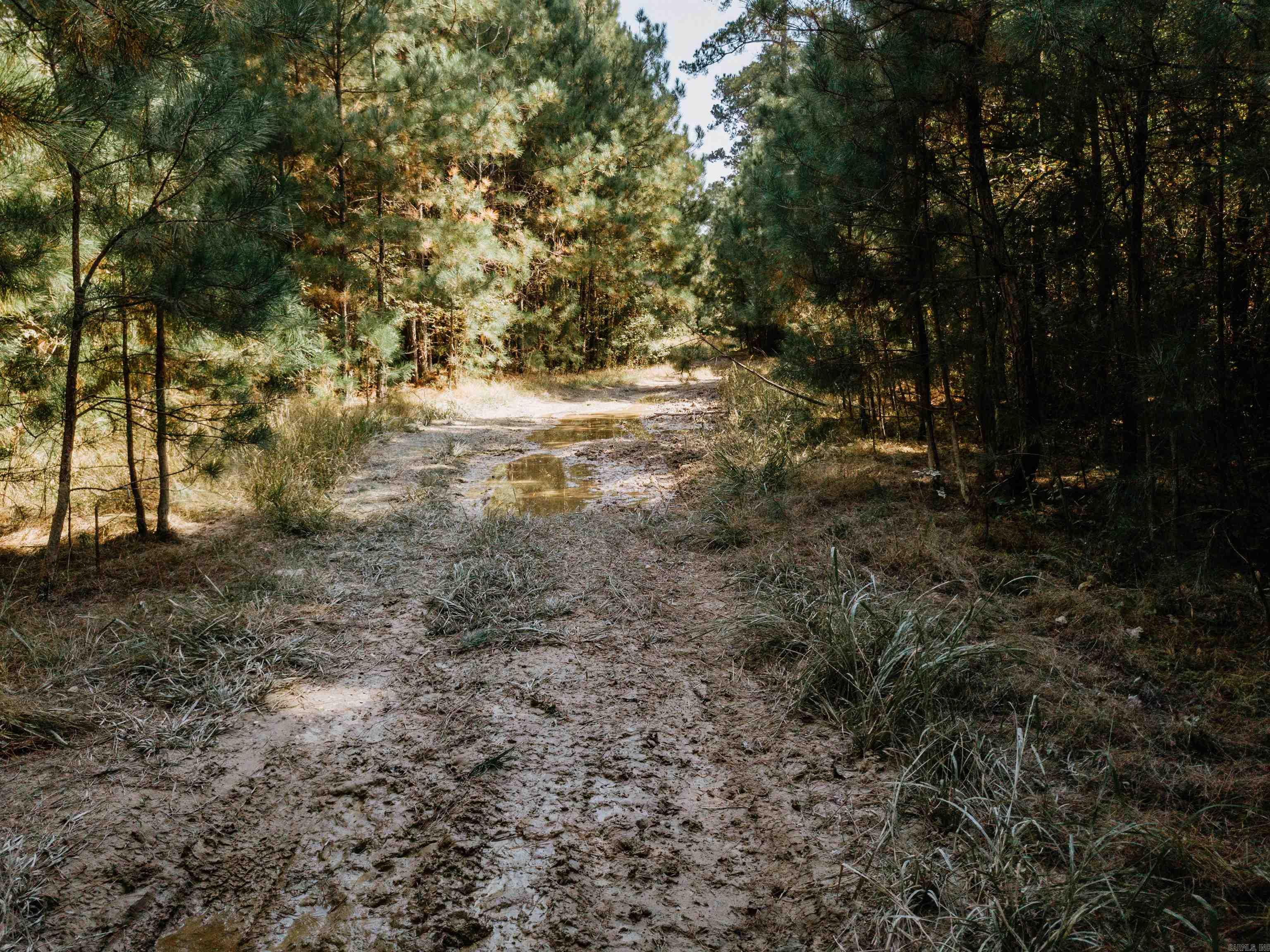 000 Opitz  Haskell, AR