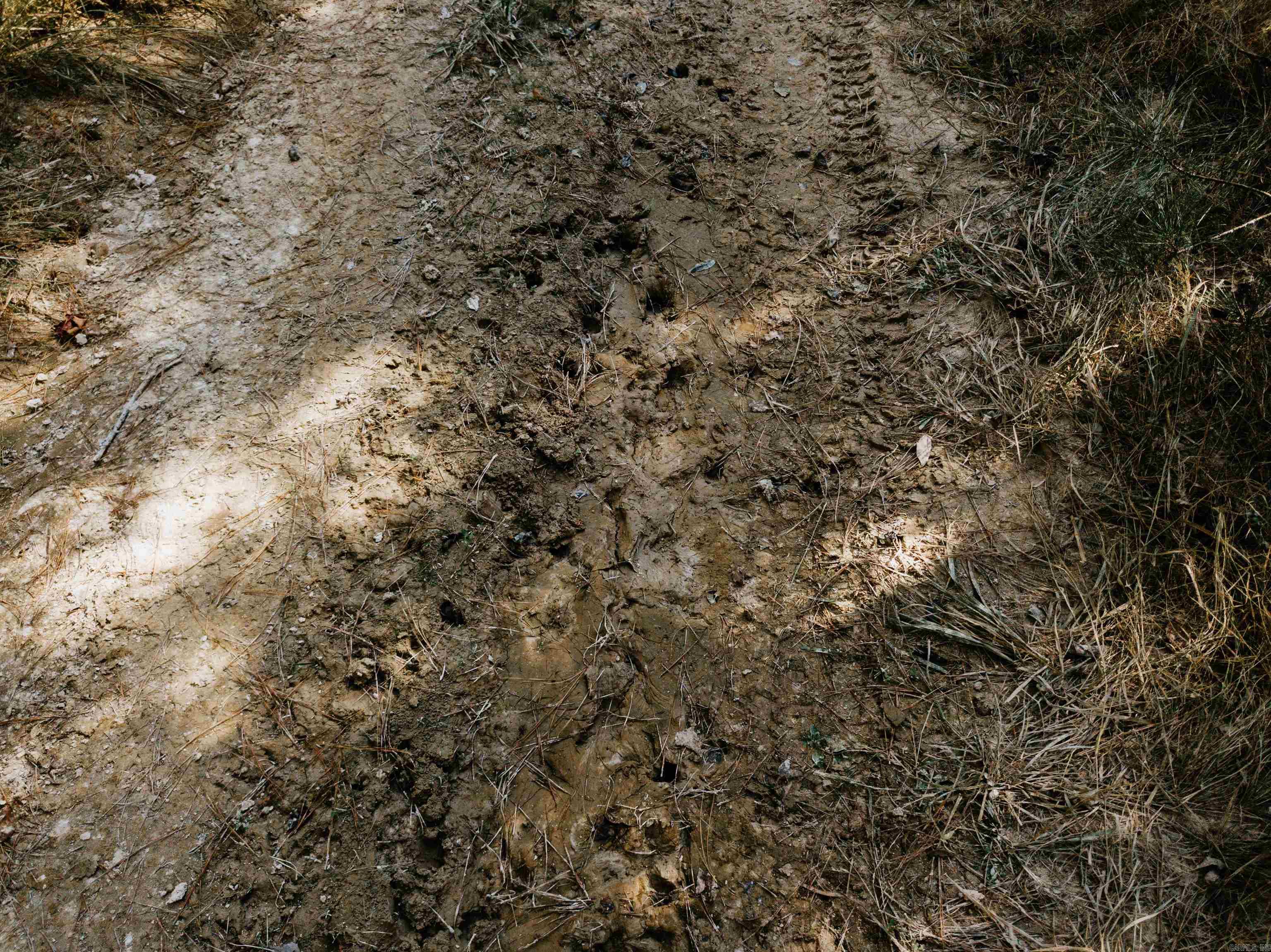 000 Opitz  Haskell, AR