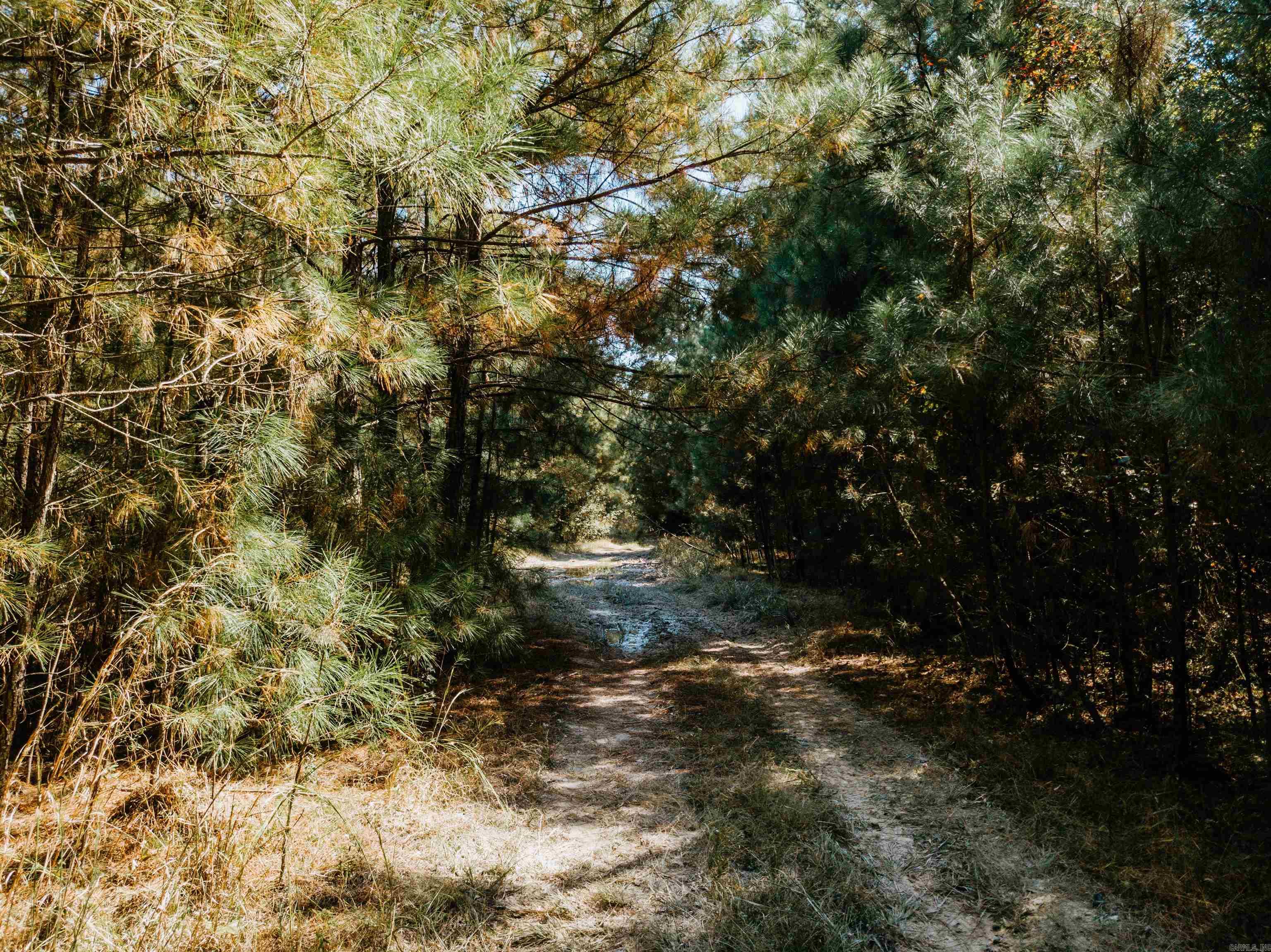 000 Opitz  Haskell, AR