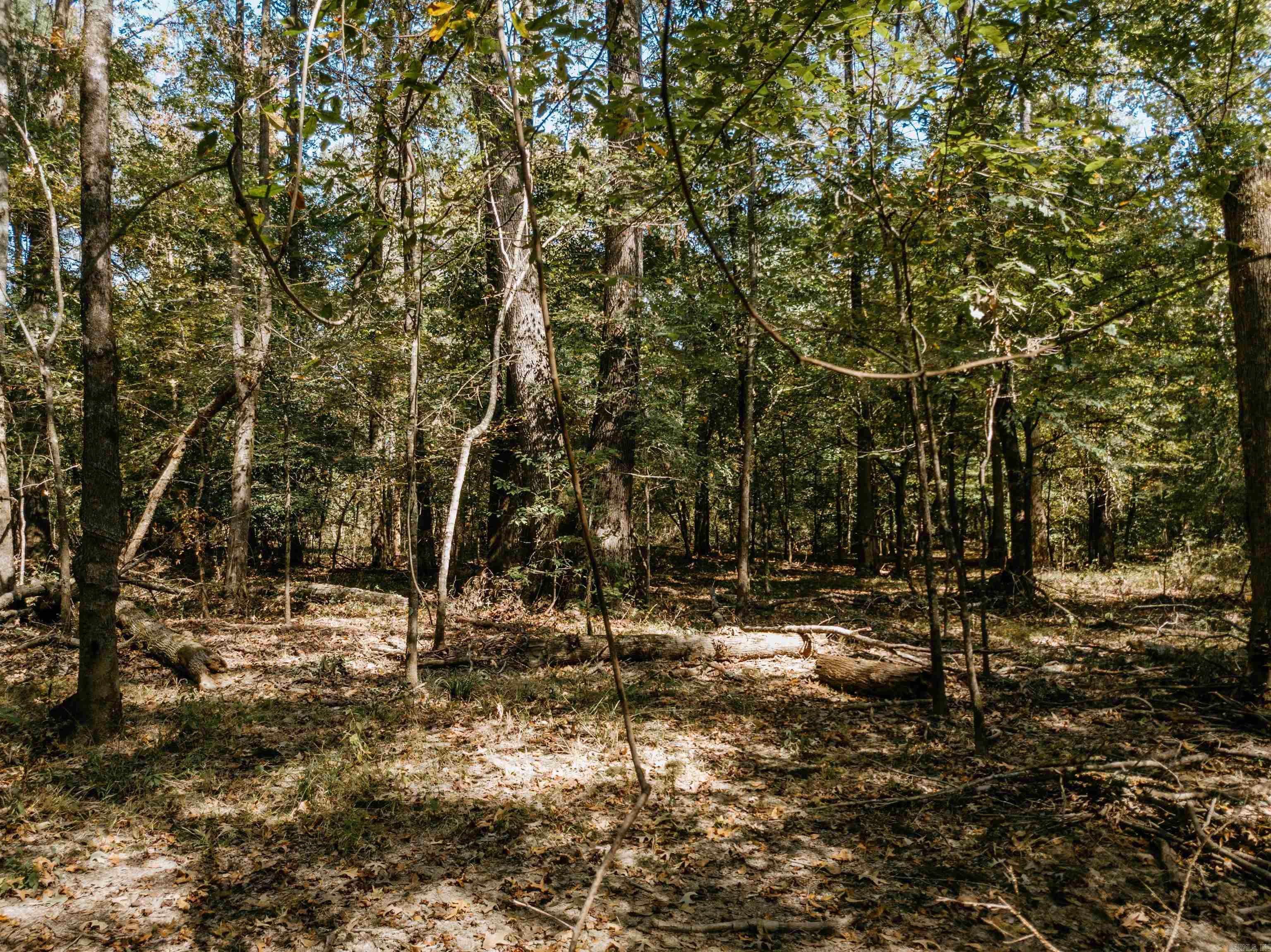 000 Opitz  Haskell, AR