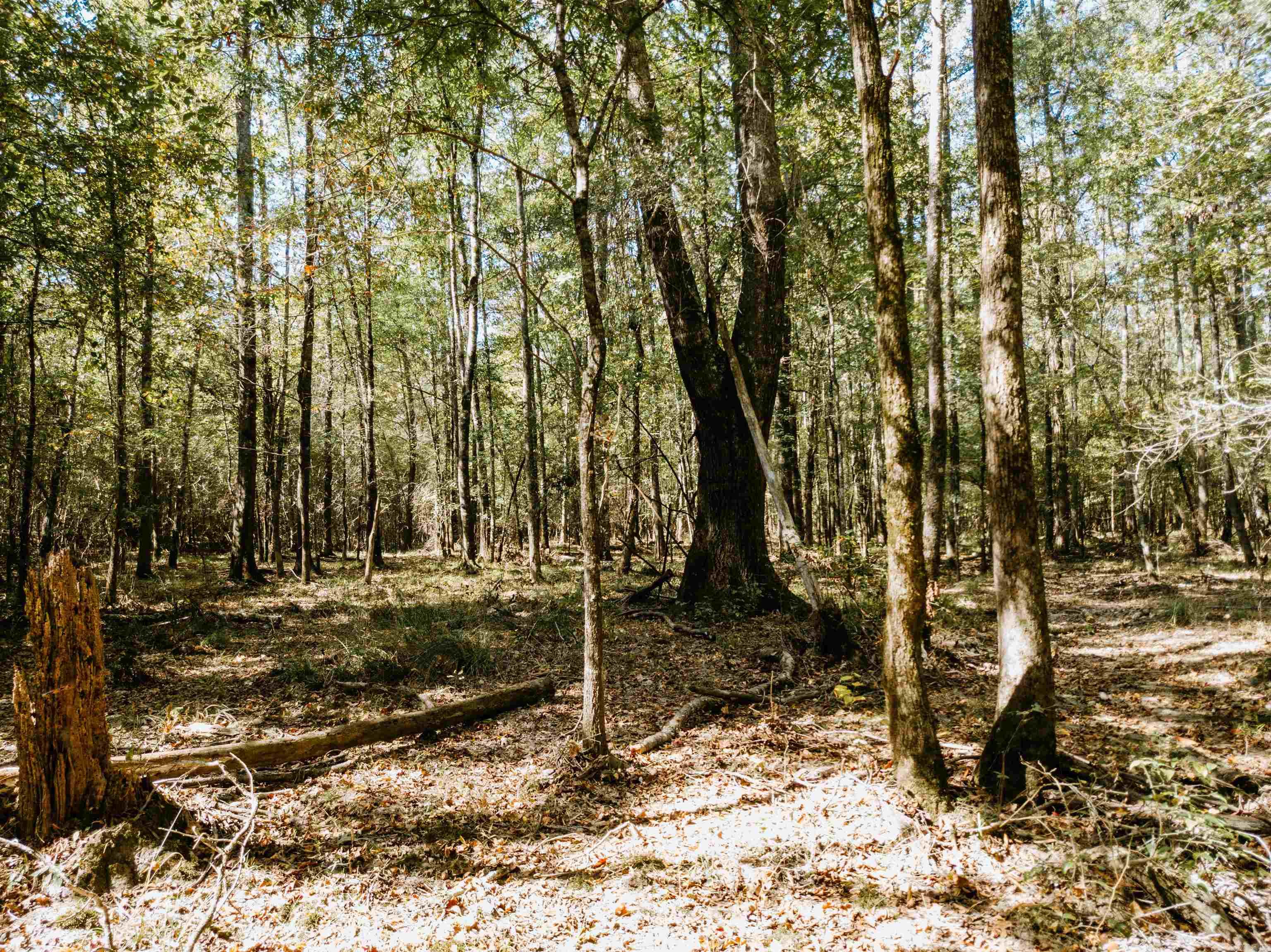 000 Opitz  Haskell, AR