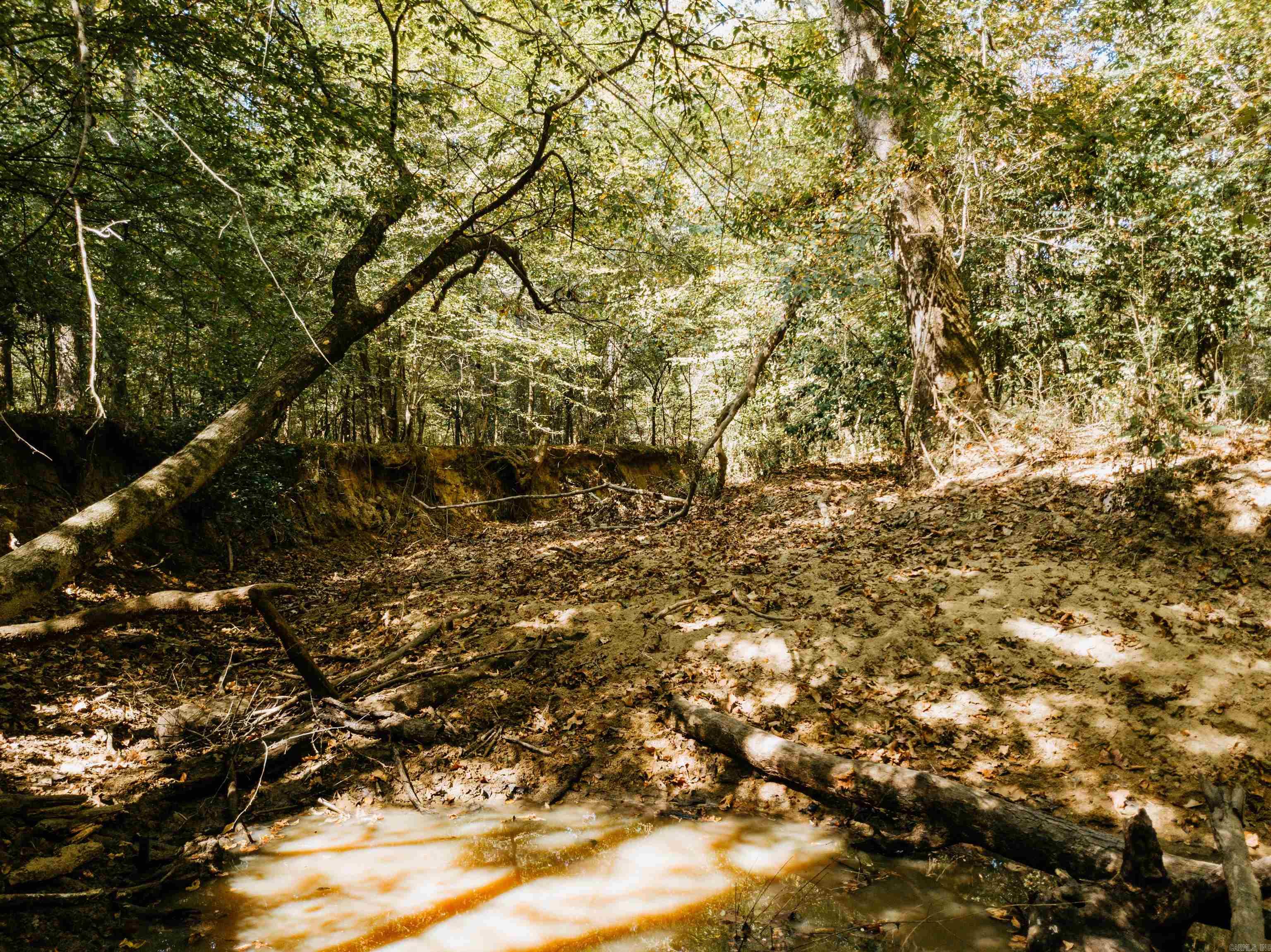 000 Opitz  Haskell, AR