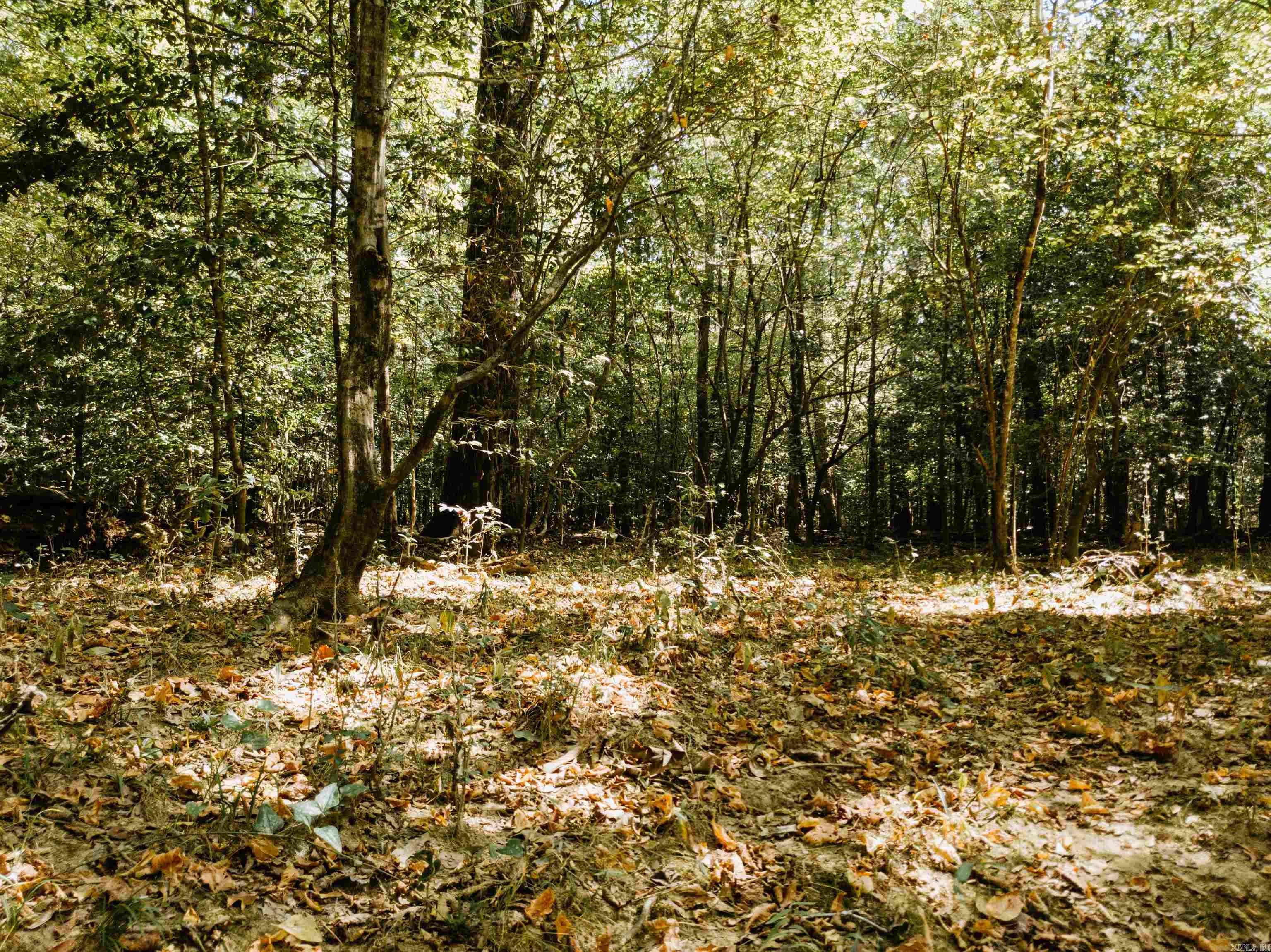 000 Opitz  Haskell, AR