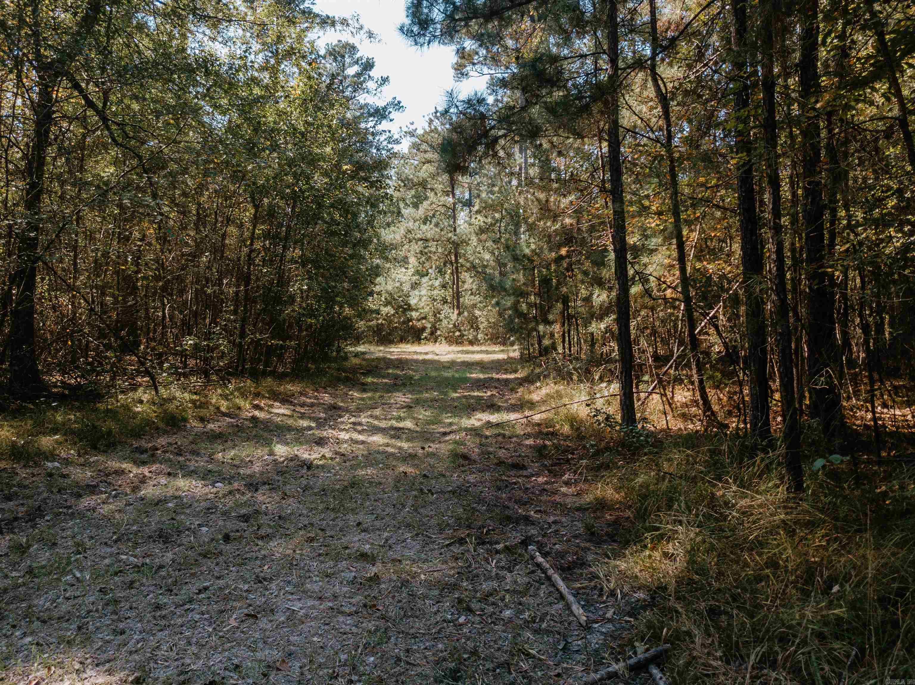 000 Opitz  Haskell, AR