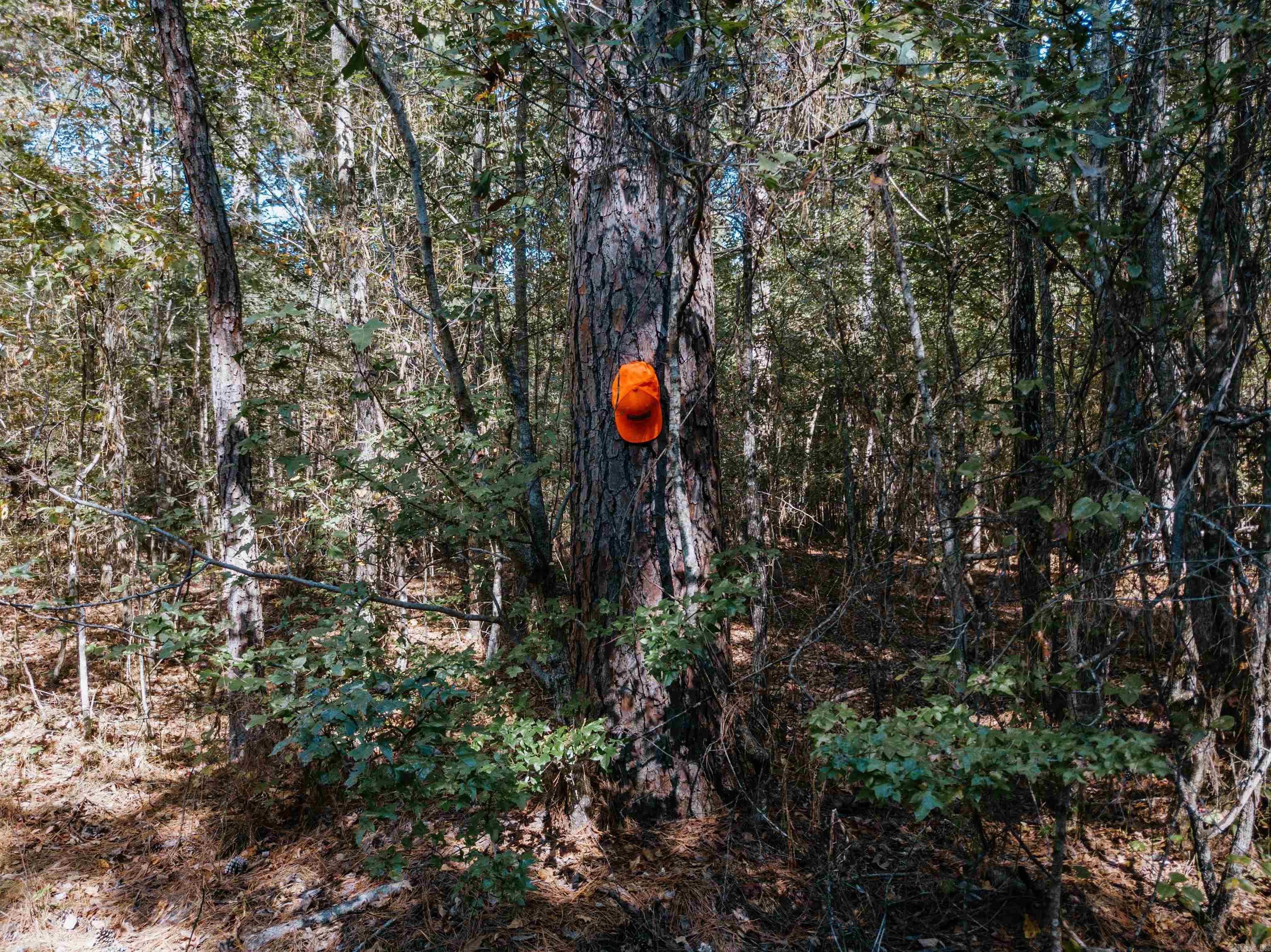 000 Opitz  Haskell, AR