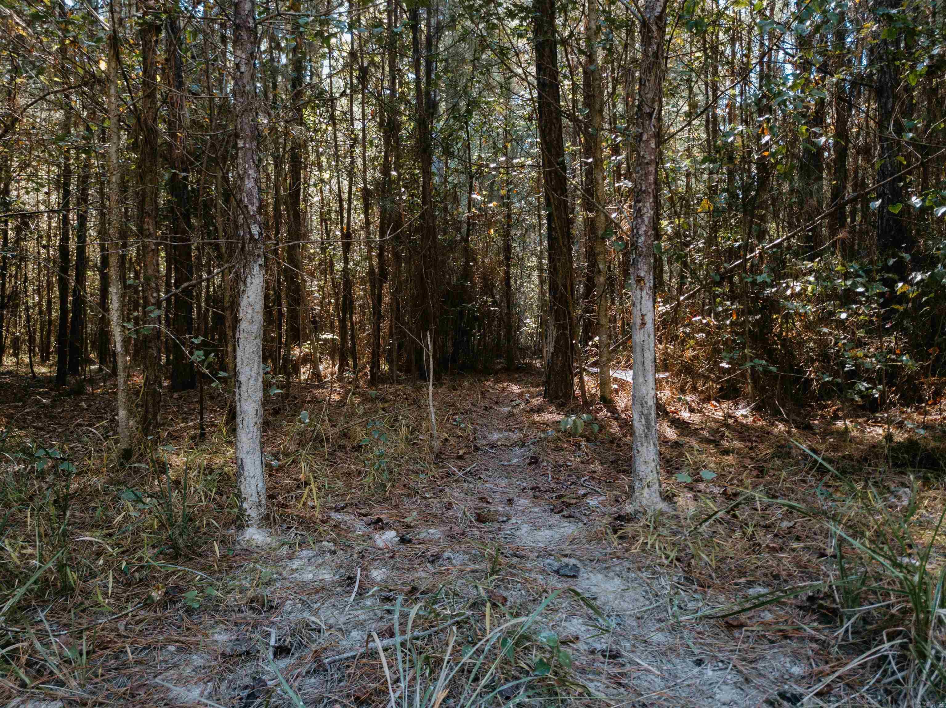 000 Opitz  Haskell, AR