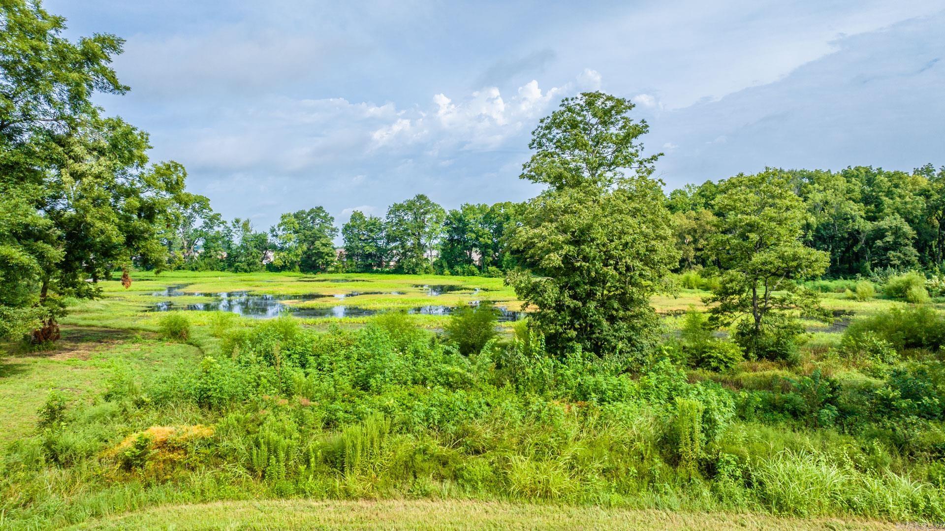 13319 Smarty Jones  Scott, AR