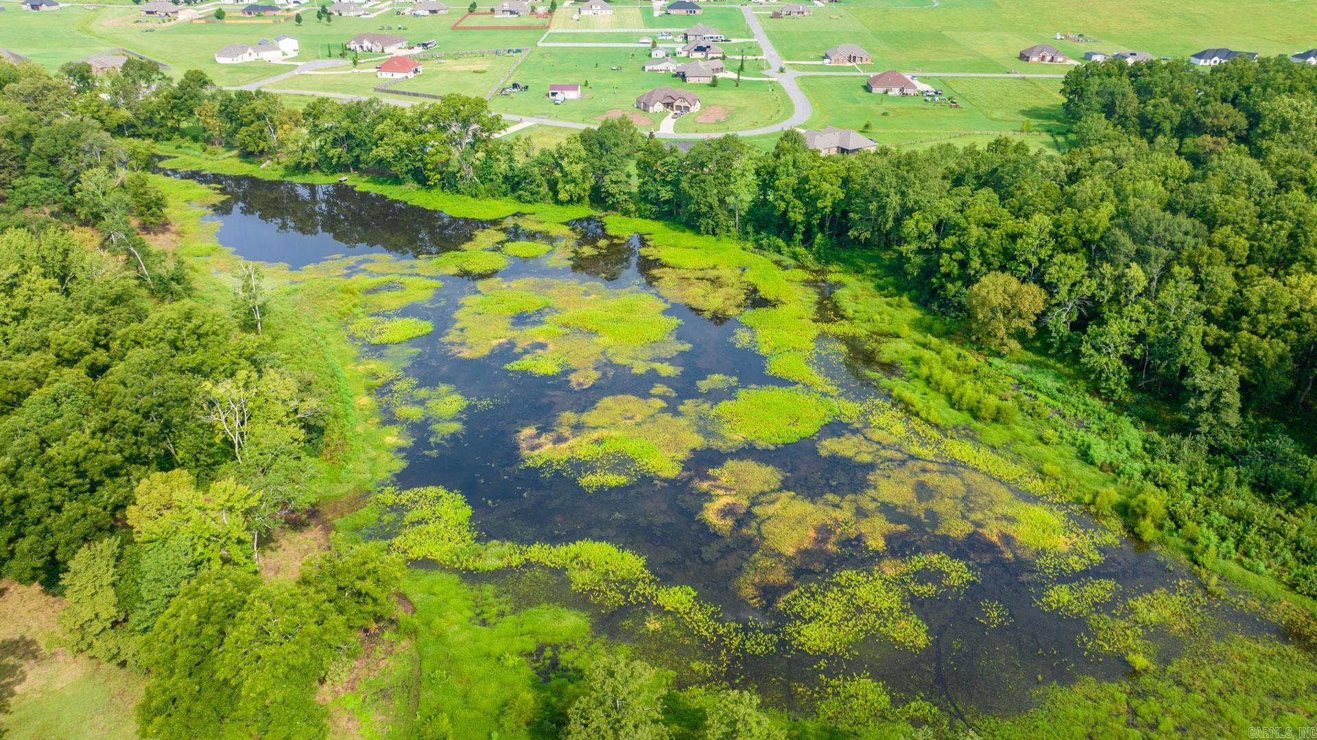 13319 Smarty Jones  Scott, AR