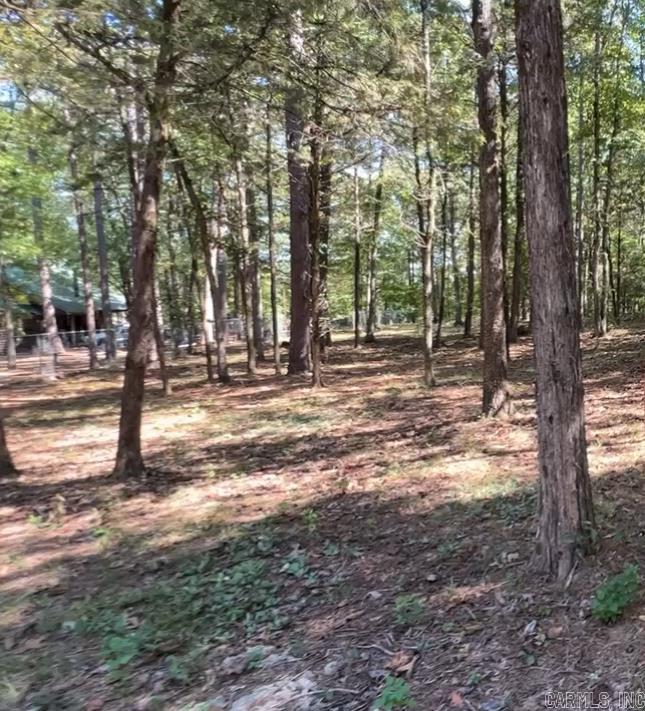 1535 Klondike  Clinton, AR