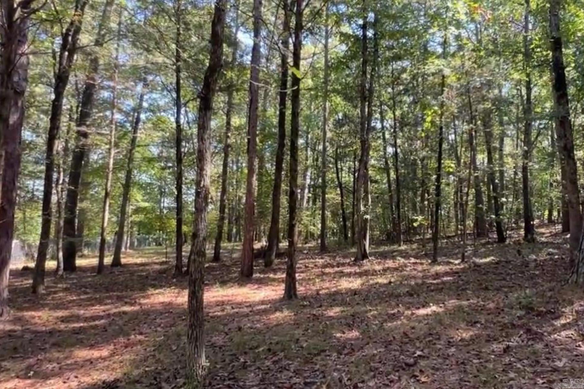 1535 Klondike  Clinton, AR