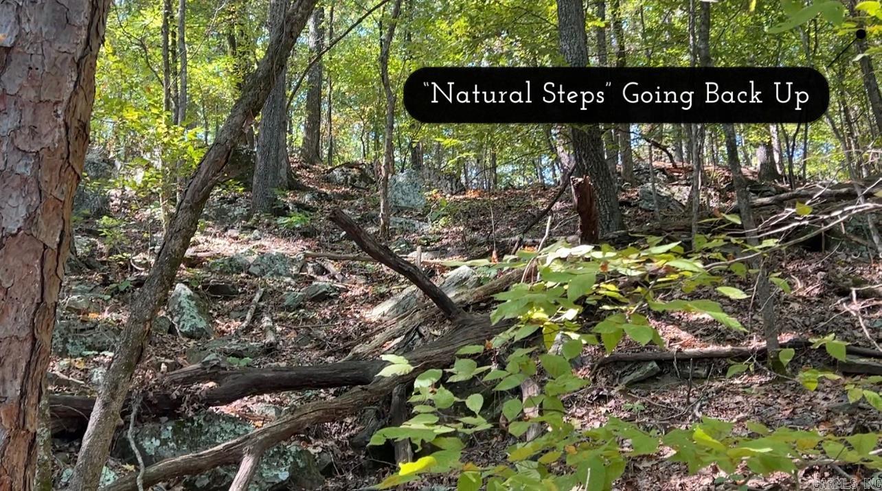 1535 Klondike  Clinton, AR