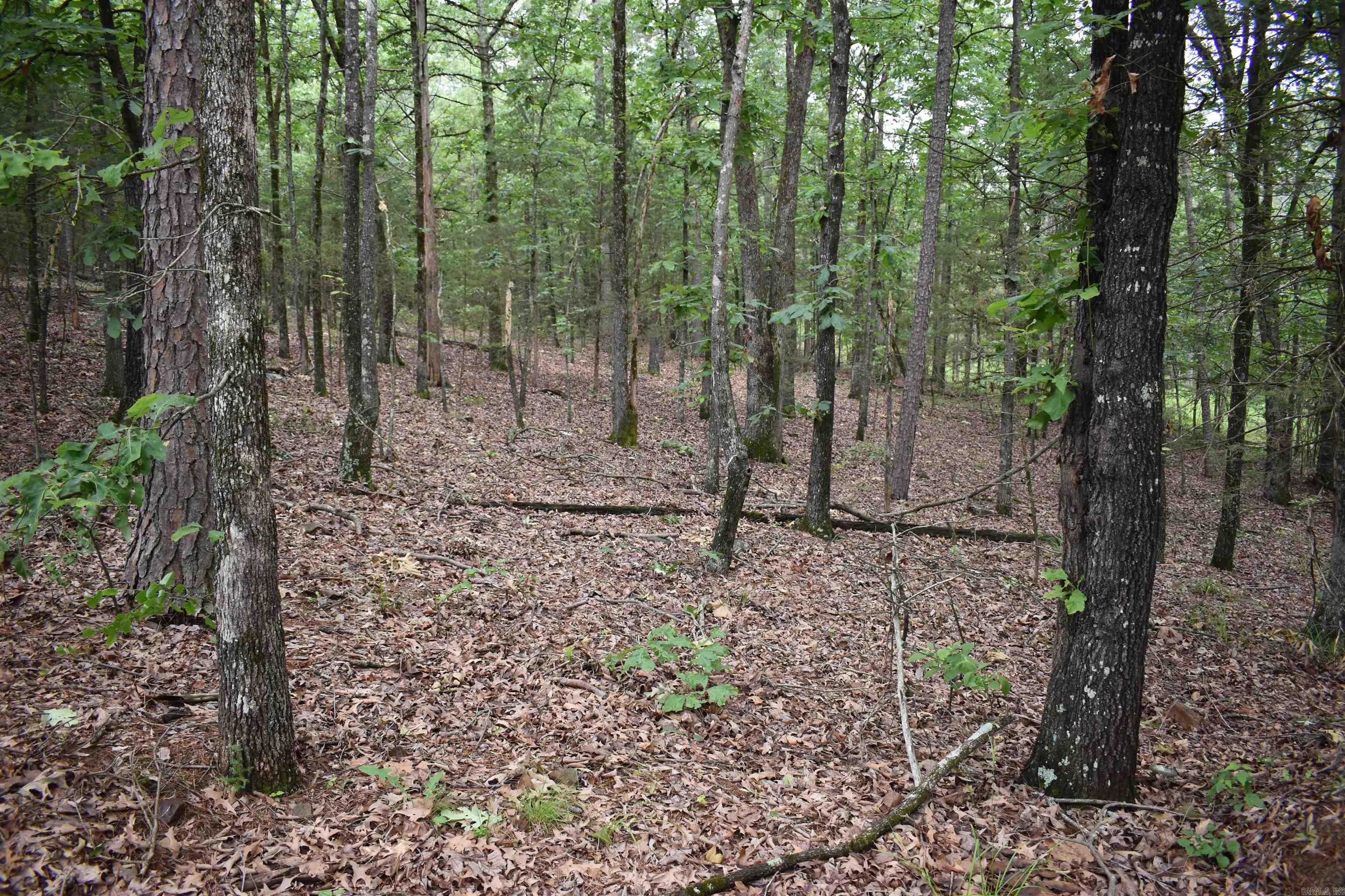 10355 Rodeo Road  Belleville, AR