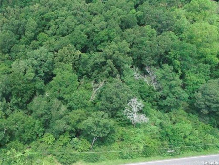 xxx Lakeshore  Hot Springs, AR