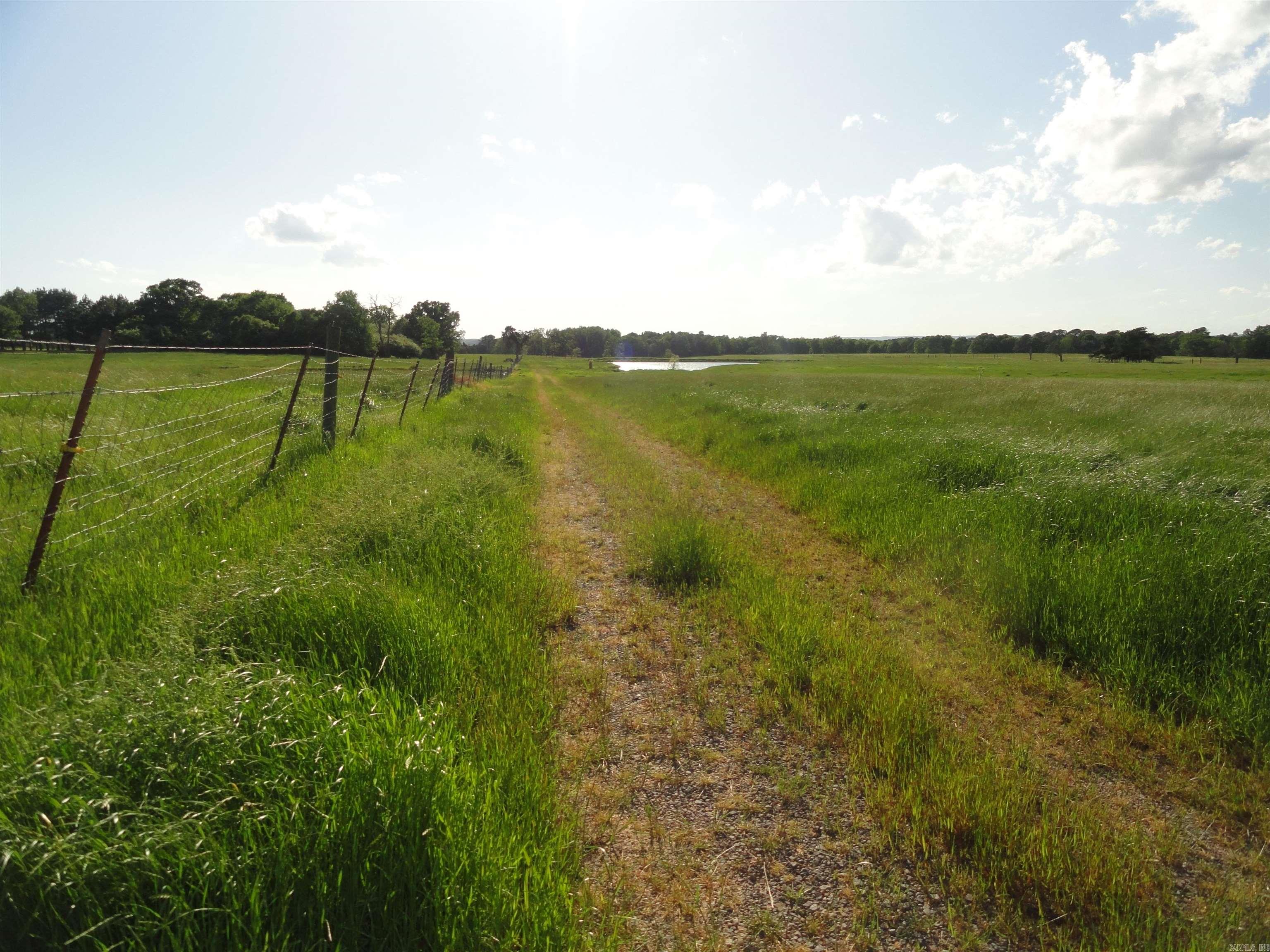 18 Hwy 124 Damascus, AR 72039