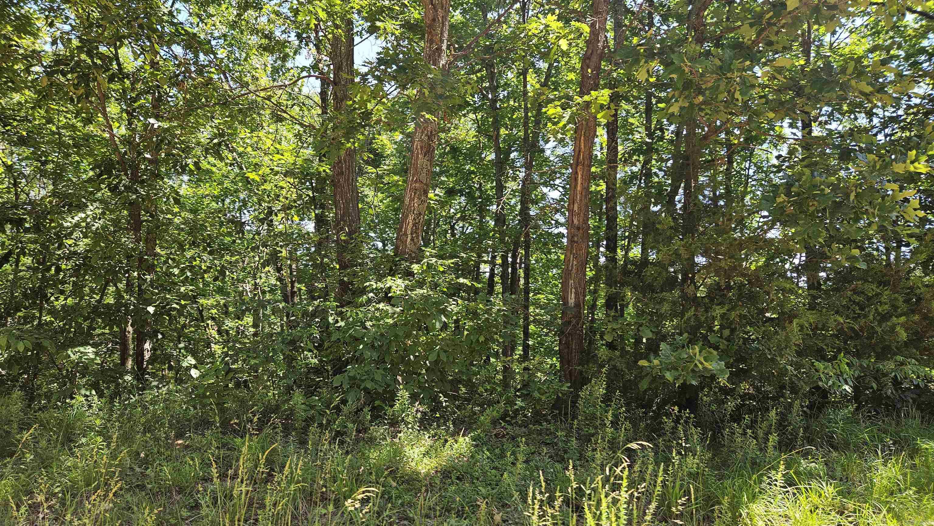 28 County Road 441  Corning, AR