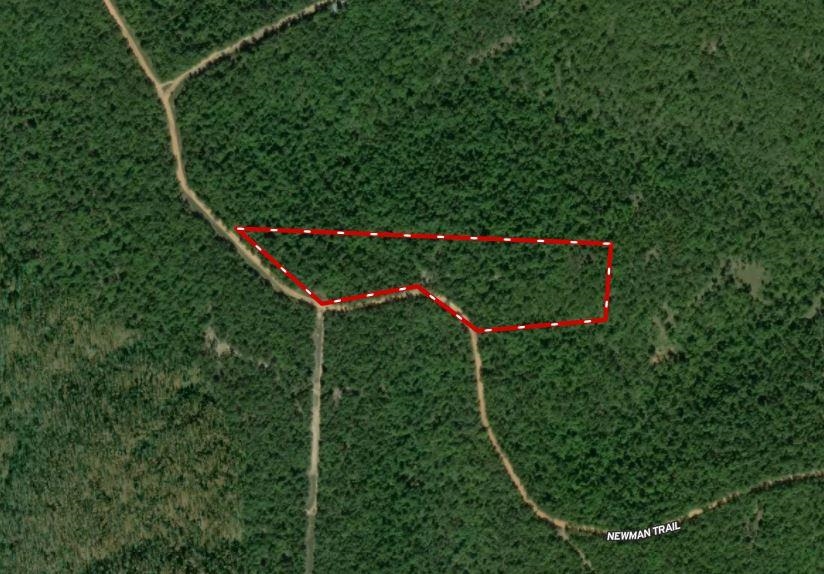  Newman Trail  Williford, AR