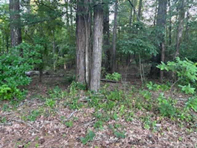 Lot 12 Peppertree  Camden, AR
