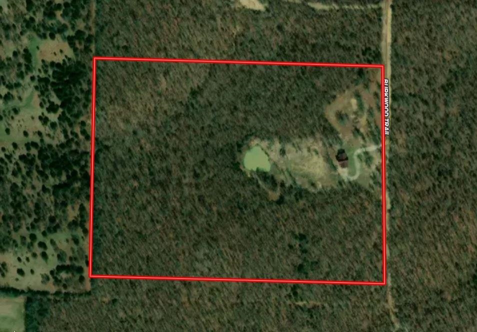 231 Burkwood Trail Salem, AR 72576