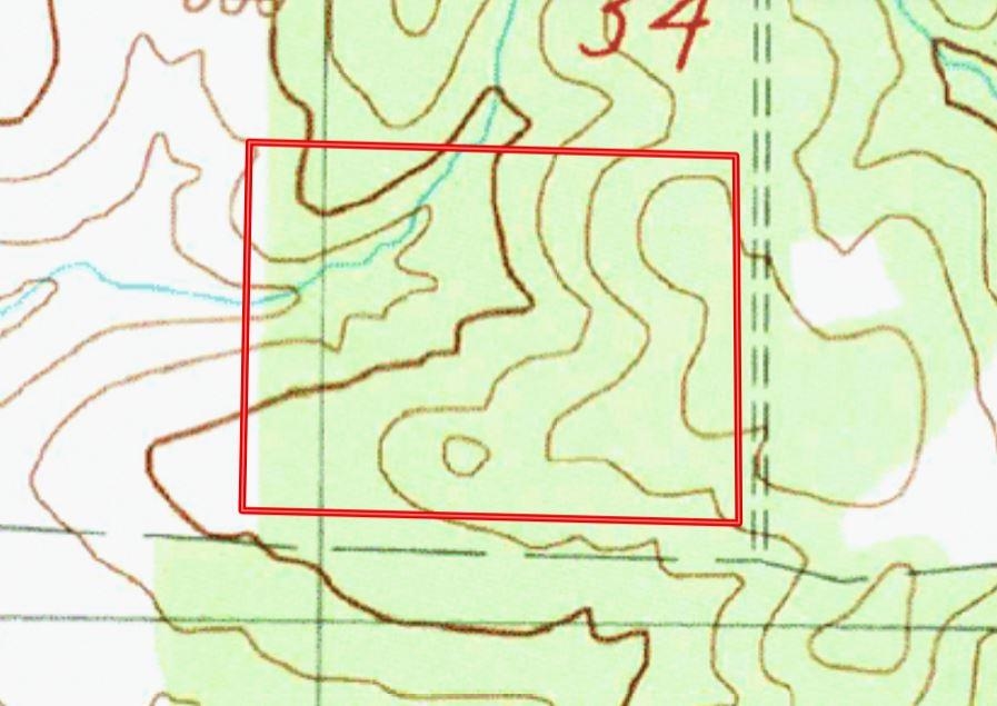 231 Burkwood Trail Salem, AR 72576